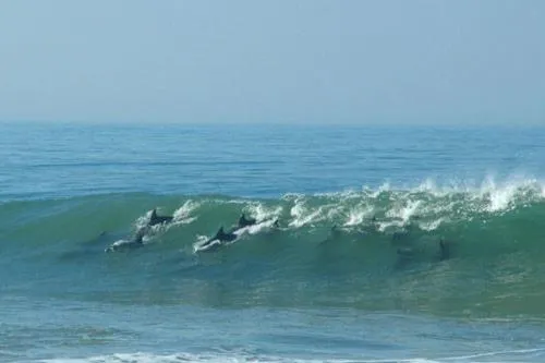Beach in Breeze Inn Guesthouse