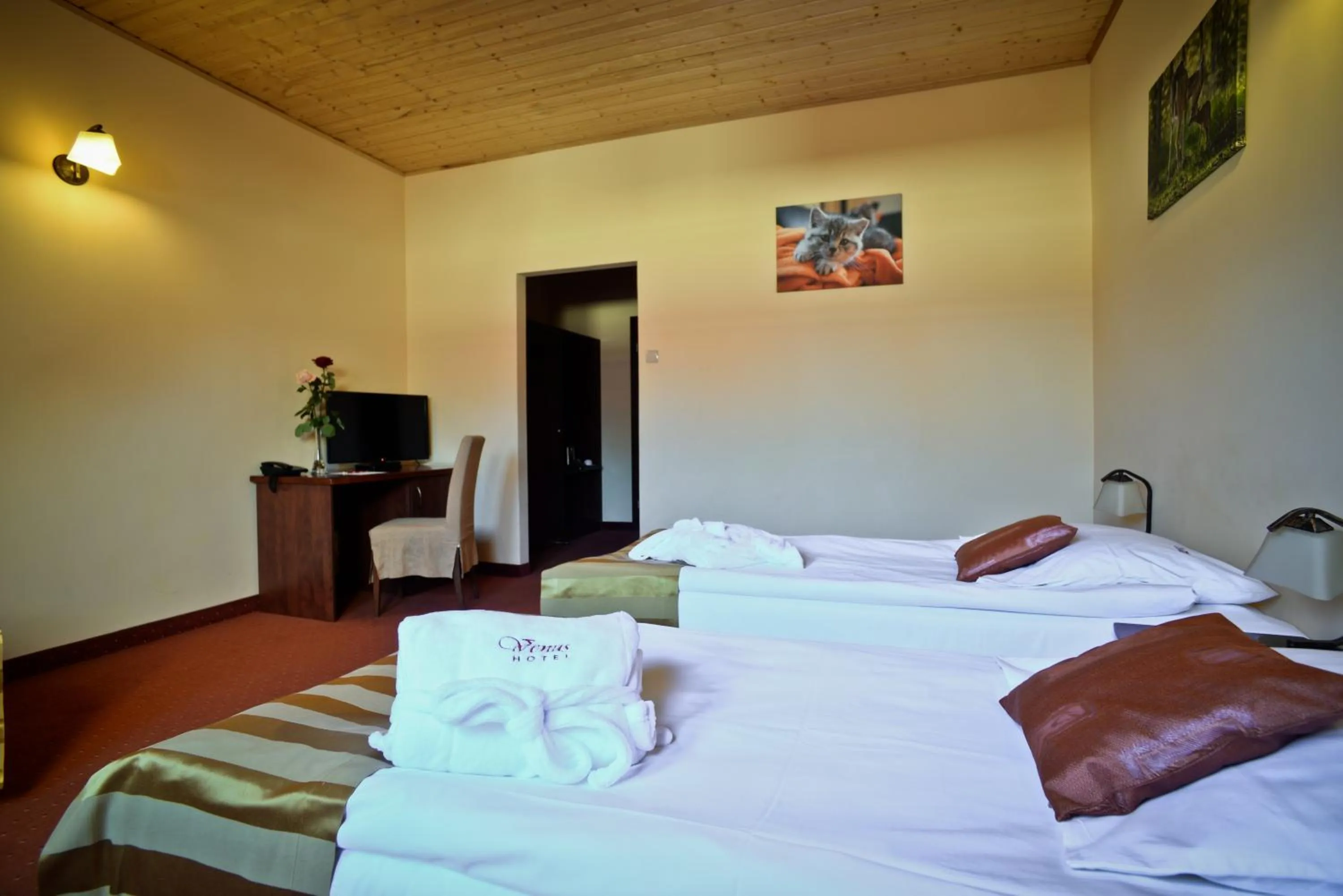 Photo of the whole room, Bed in Hotel Venus