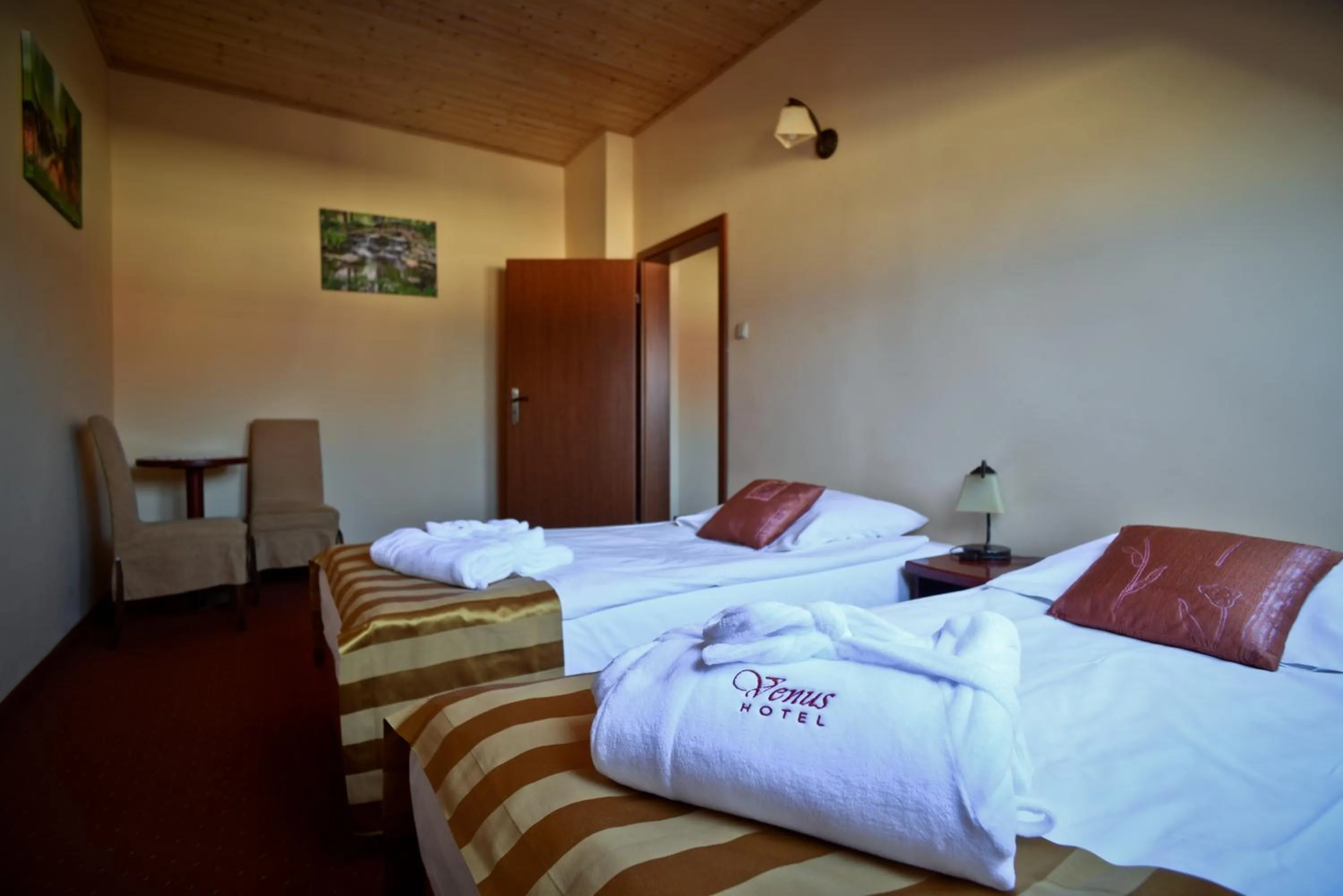 Photo of the whole room, Bed in Hotel Venus