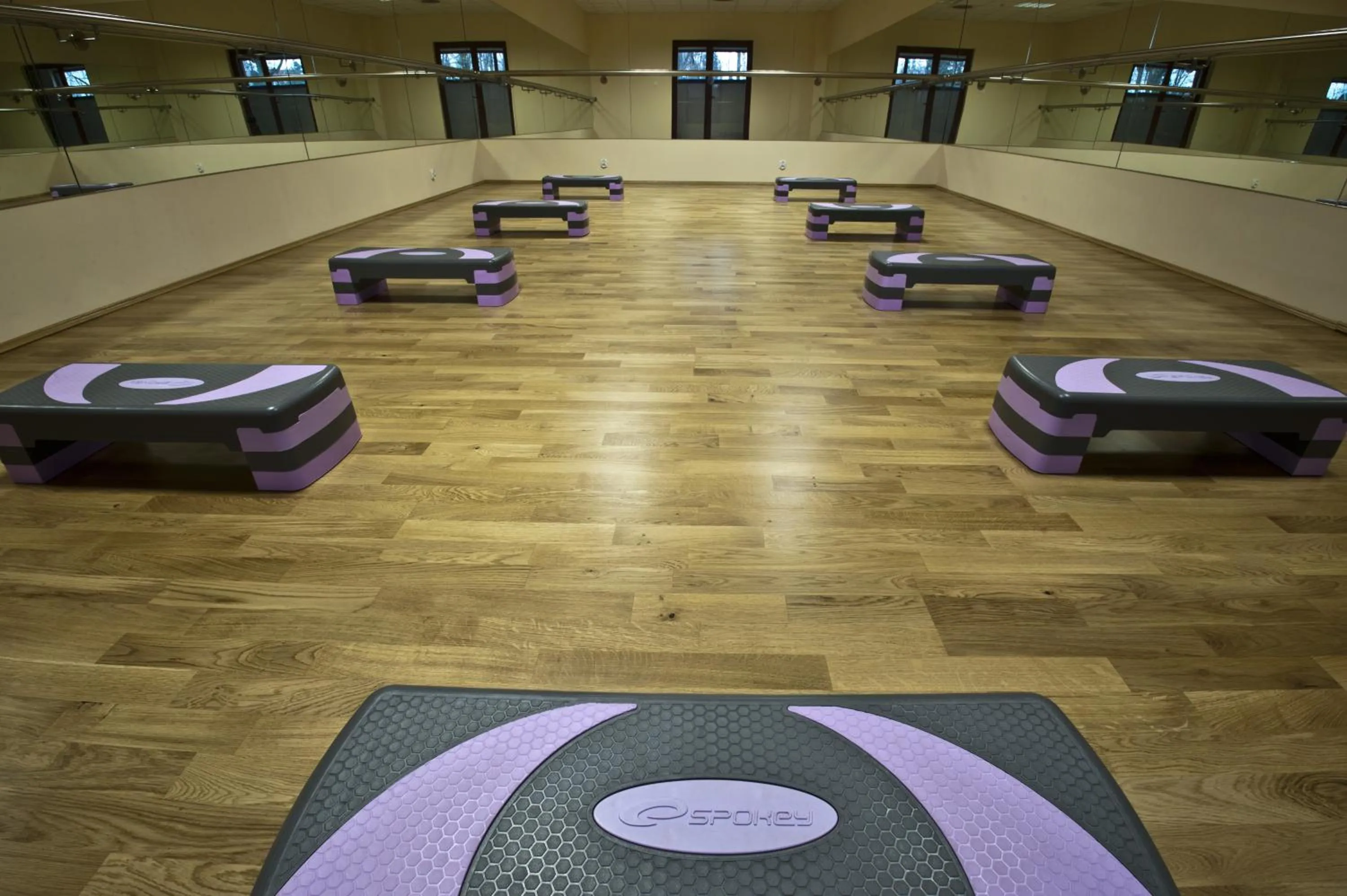 Fitness centre/facilities in Hotel Venus