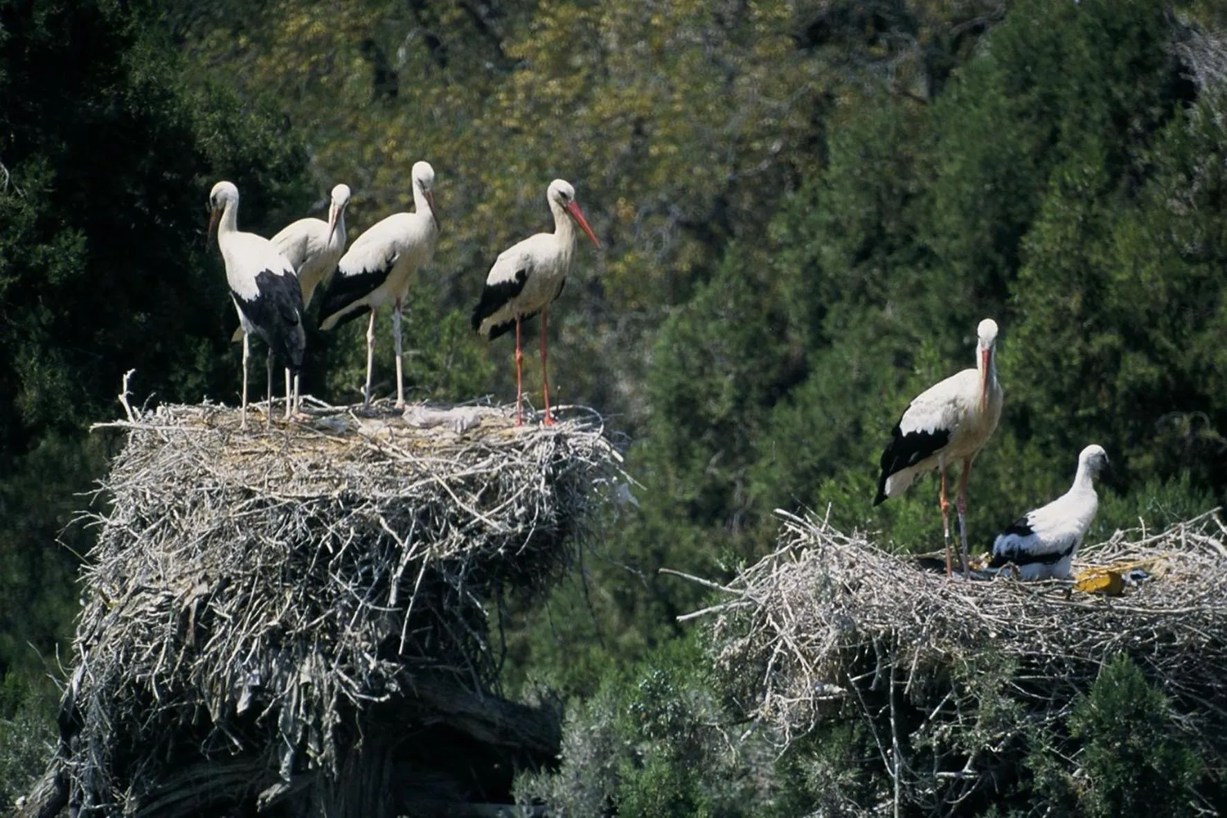 Natural landscape in Ali Bilir Otel