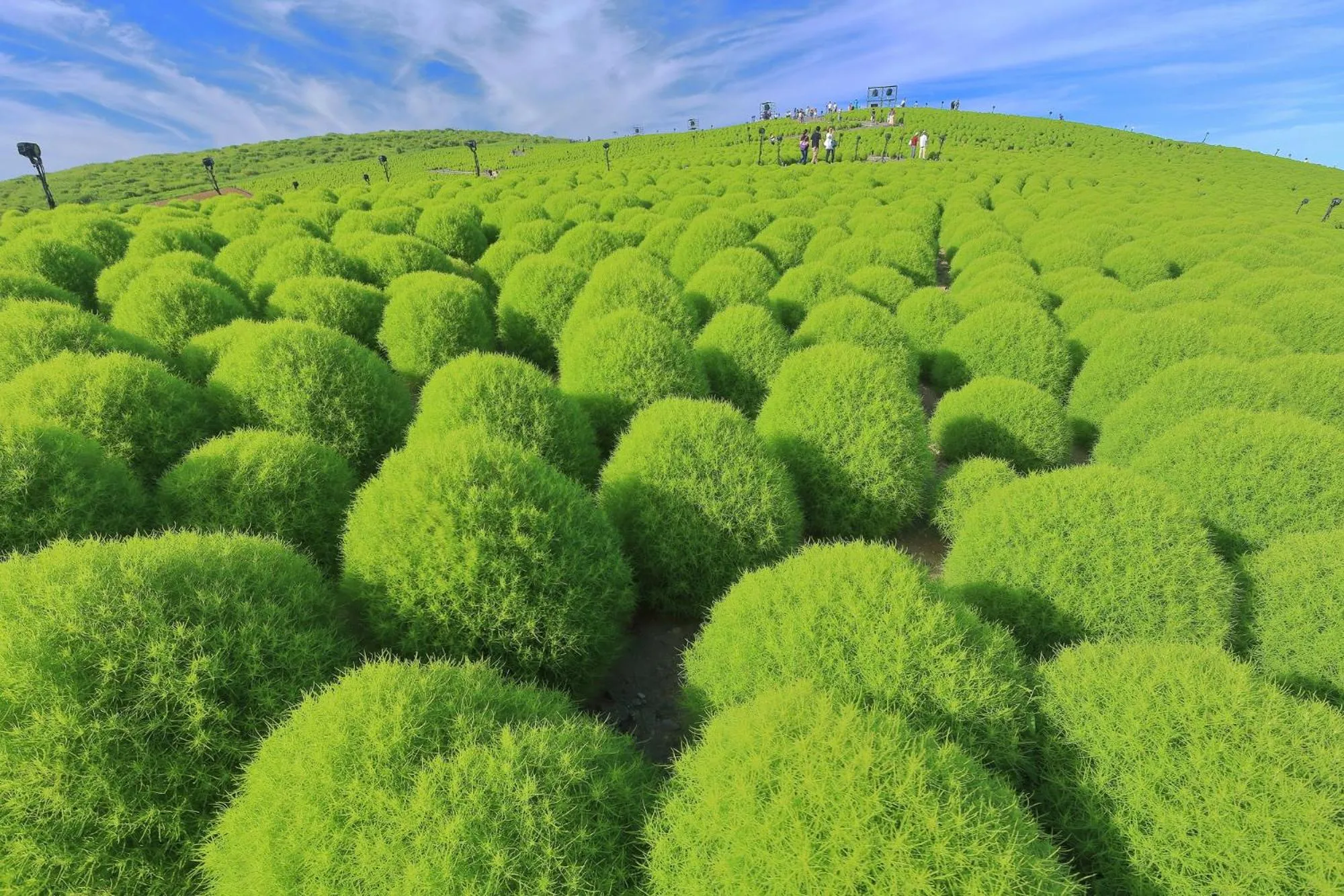 Tabist S hyde Park Koga Station