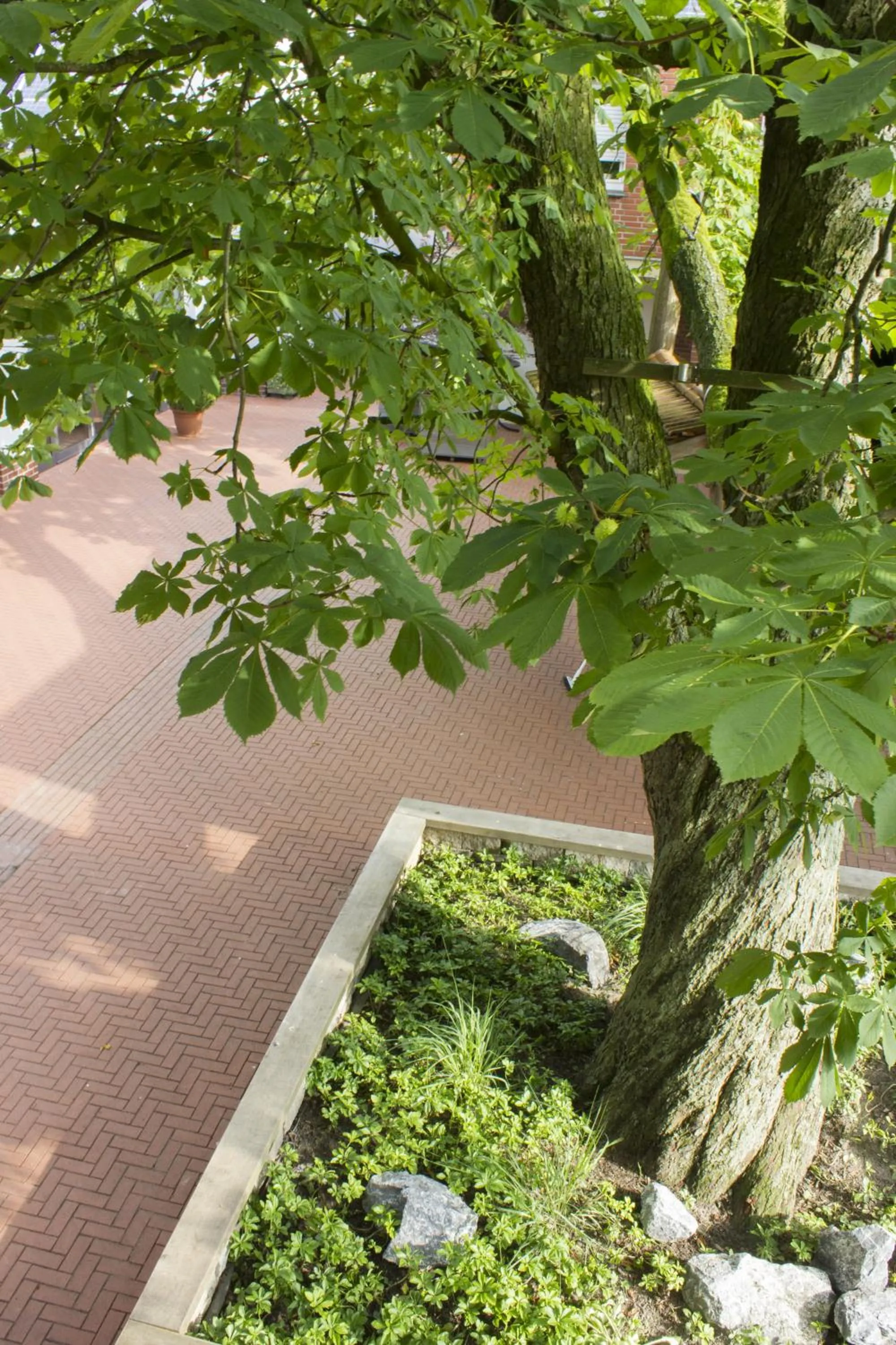Facade/entrance in Hotel zur Krone