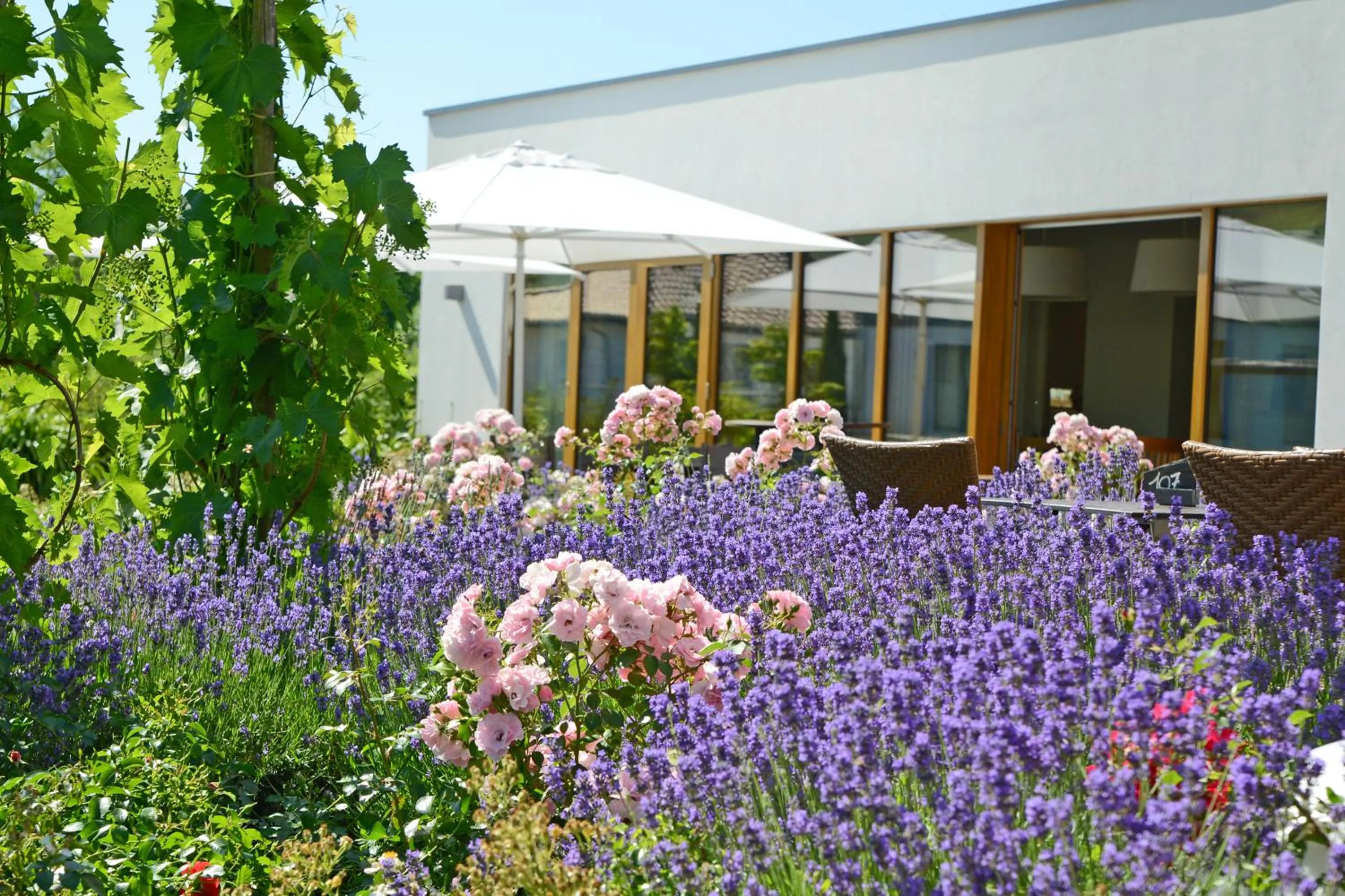 Property building in WeinKulturgut Longen-Schlöder