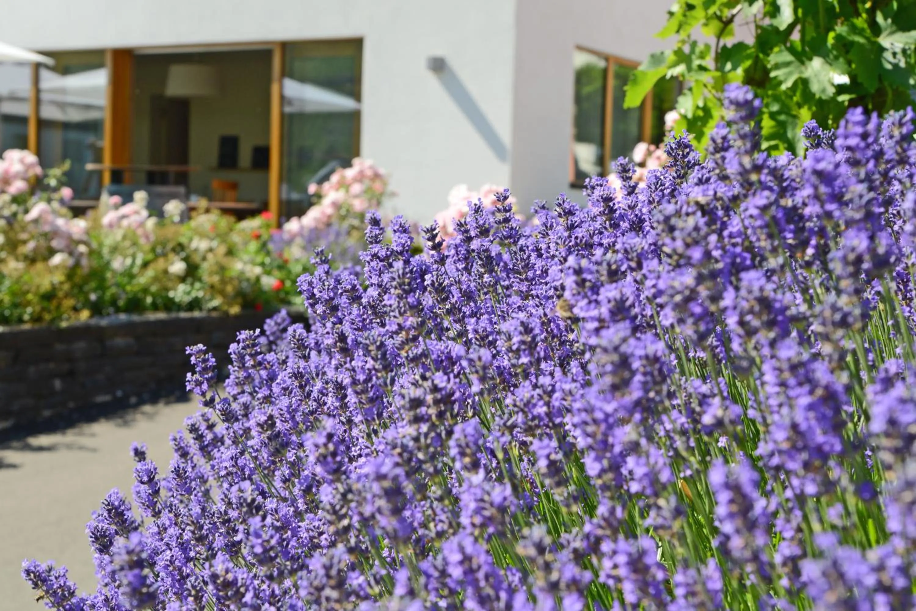 Property building in WeinKulturgut Longen-Schlöder