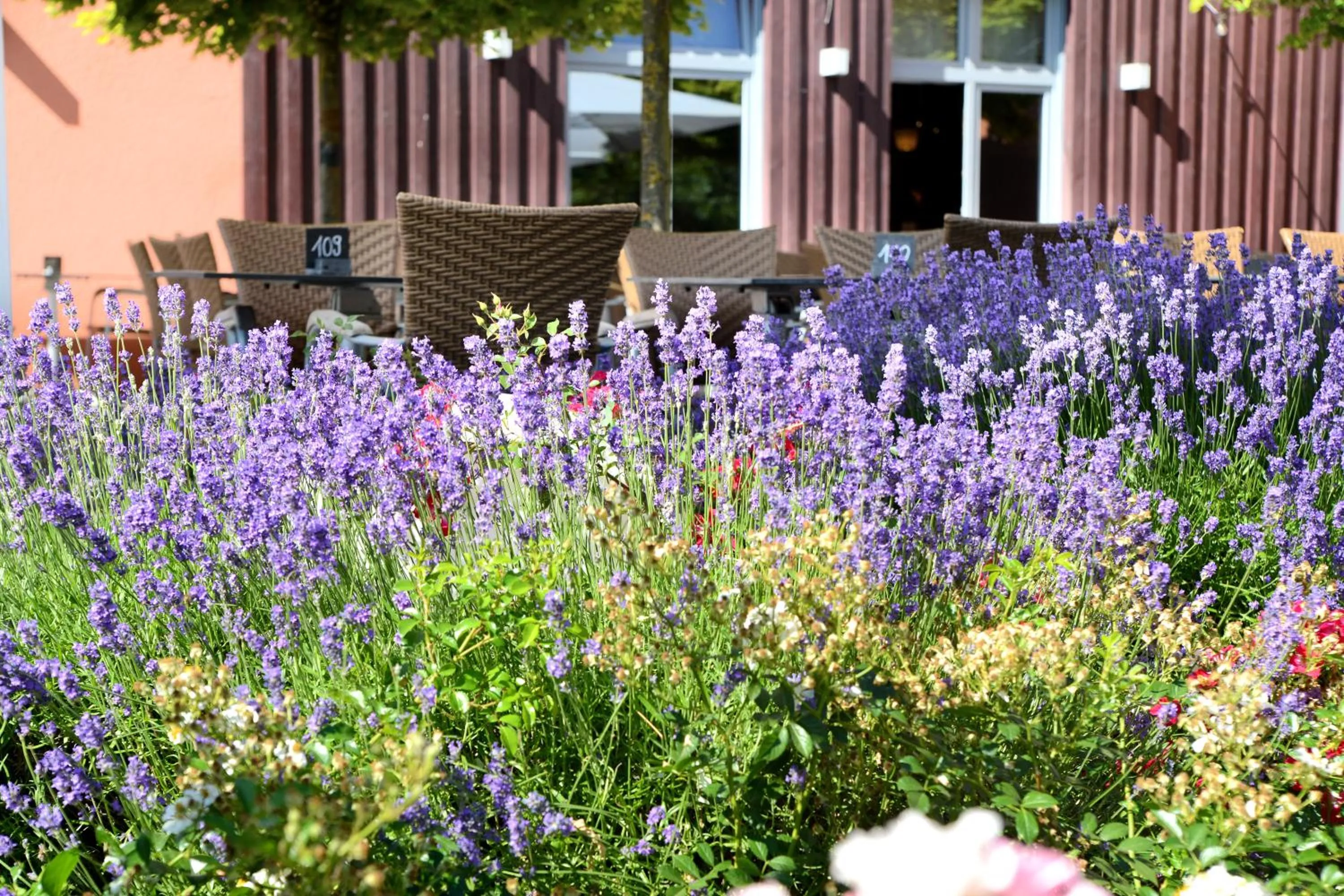 Restaurant/places to eat in WeinKulturgut Longen-Schlöder