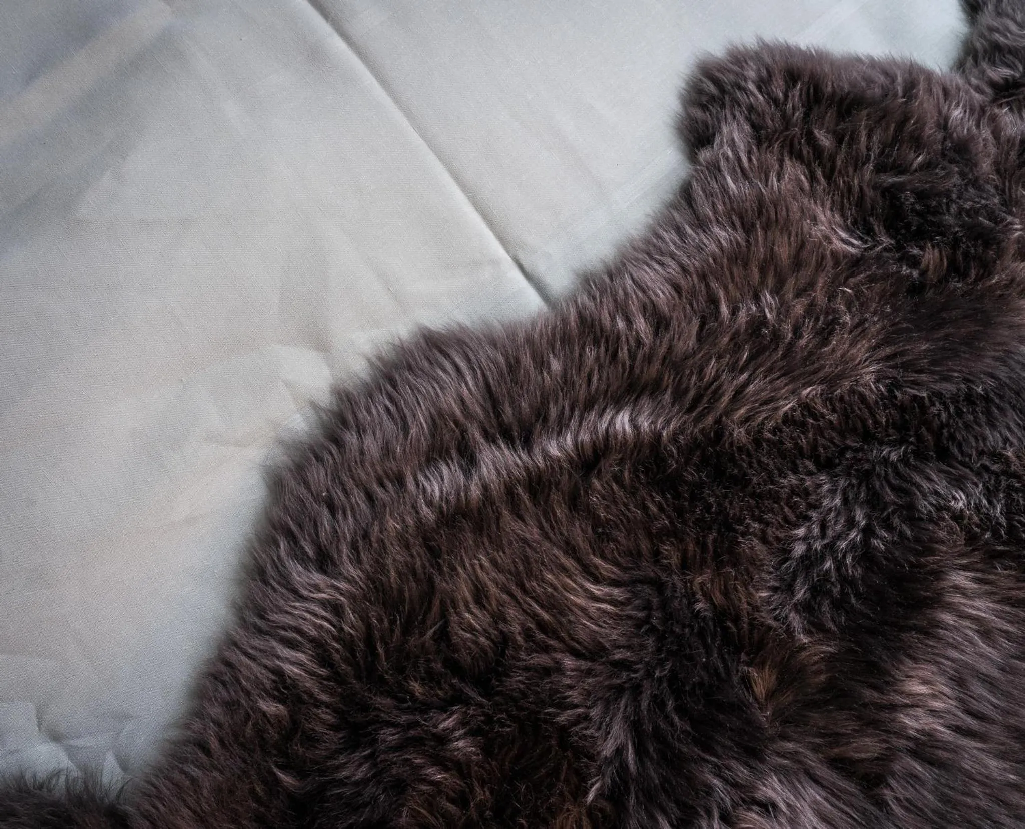 Bed in Landgasthof Halbinsel Au