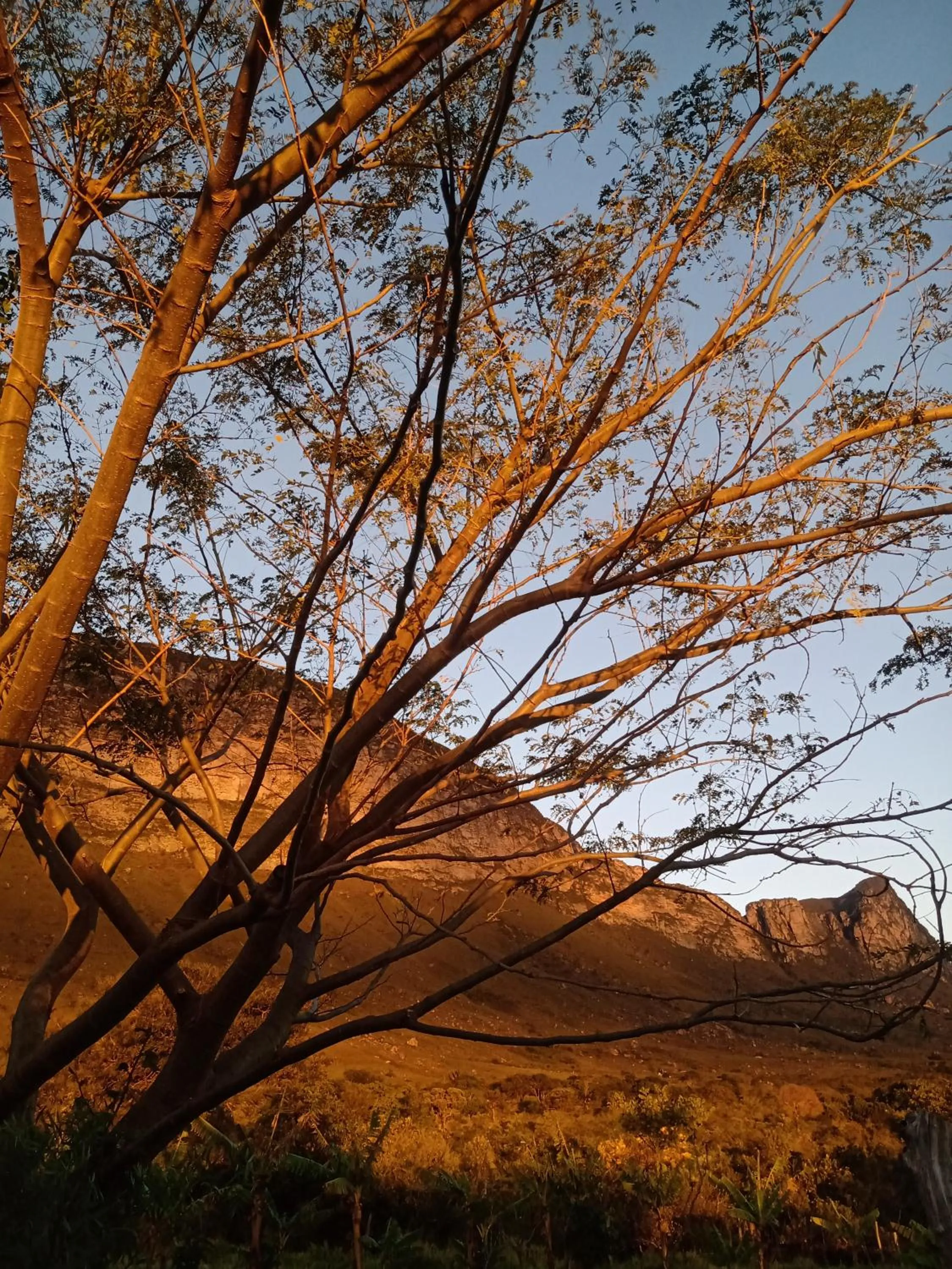 Terra de Aruanda pousada