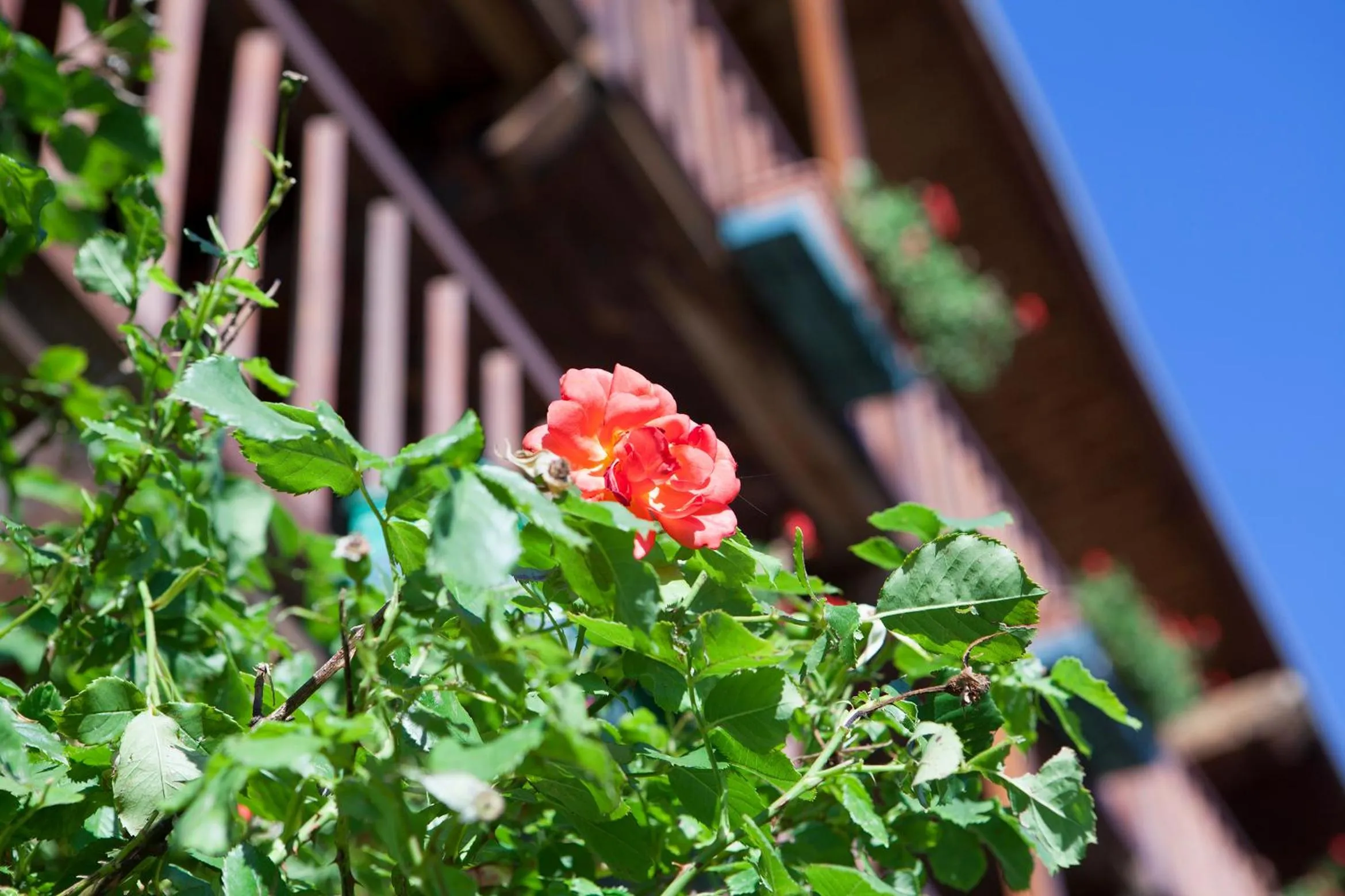 Property building in Le Rosier B&B e Appartamento