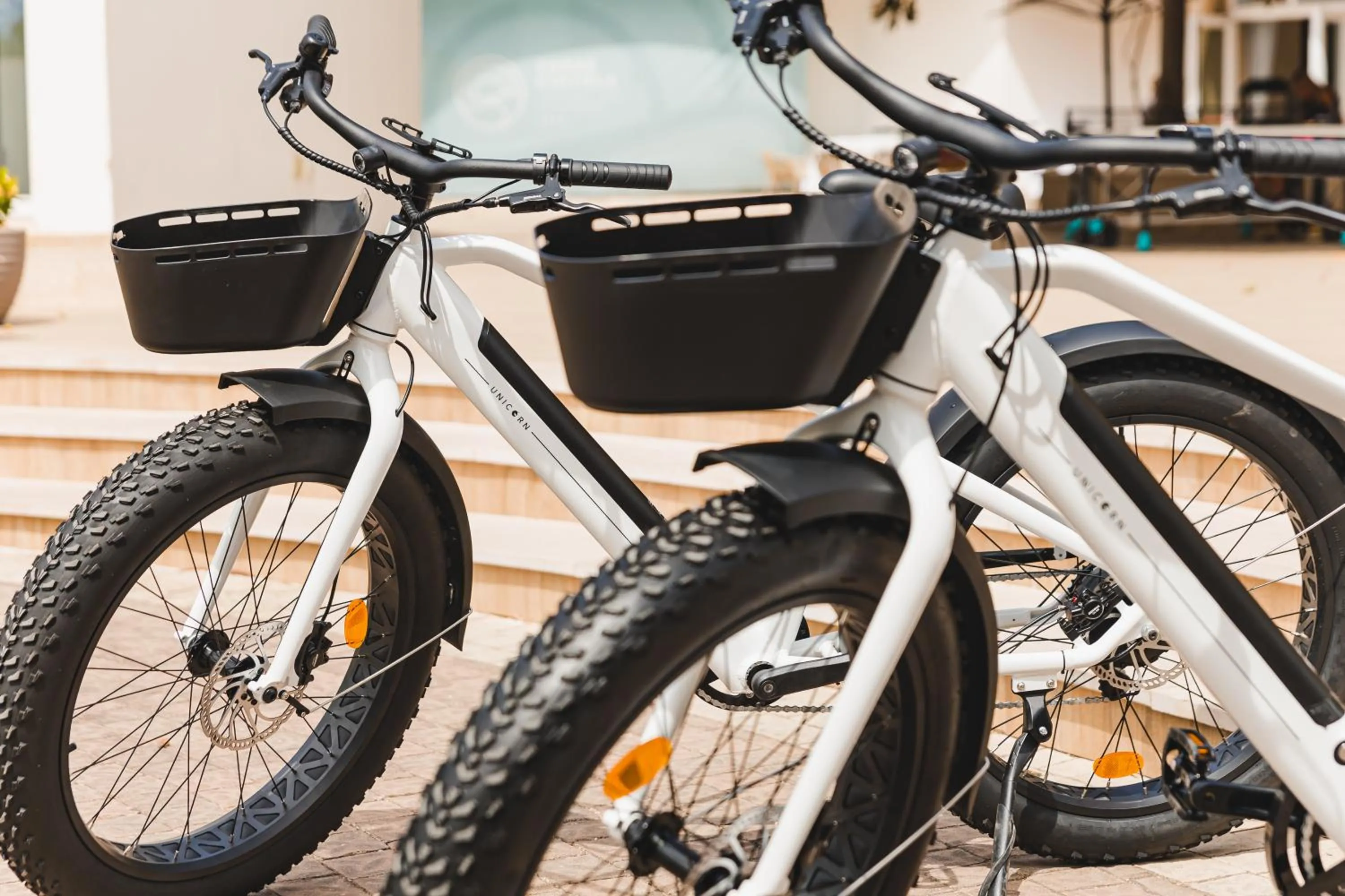 Entertainment in Ibersol Torremolinos Beach