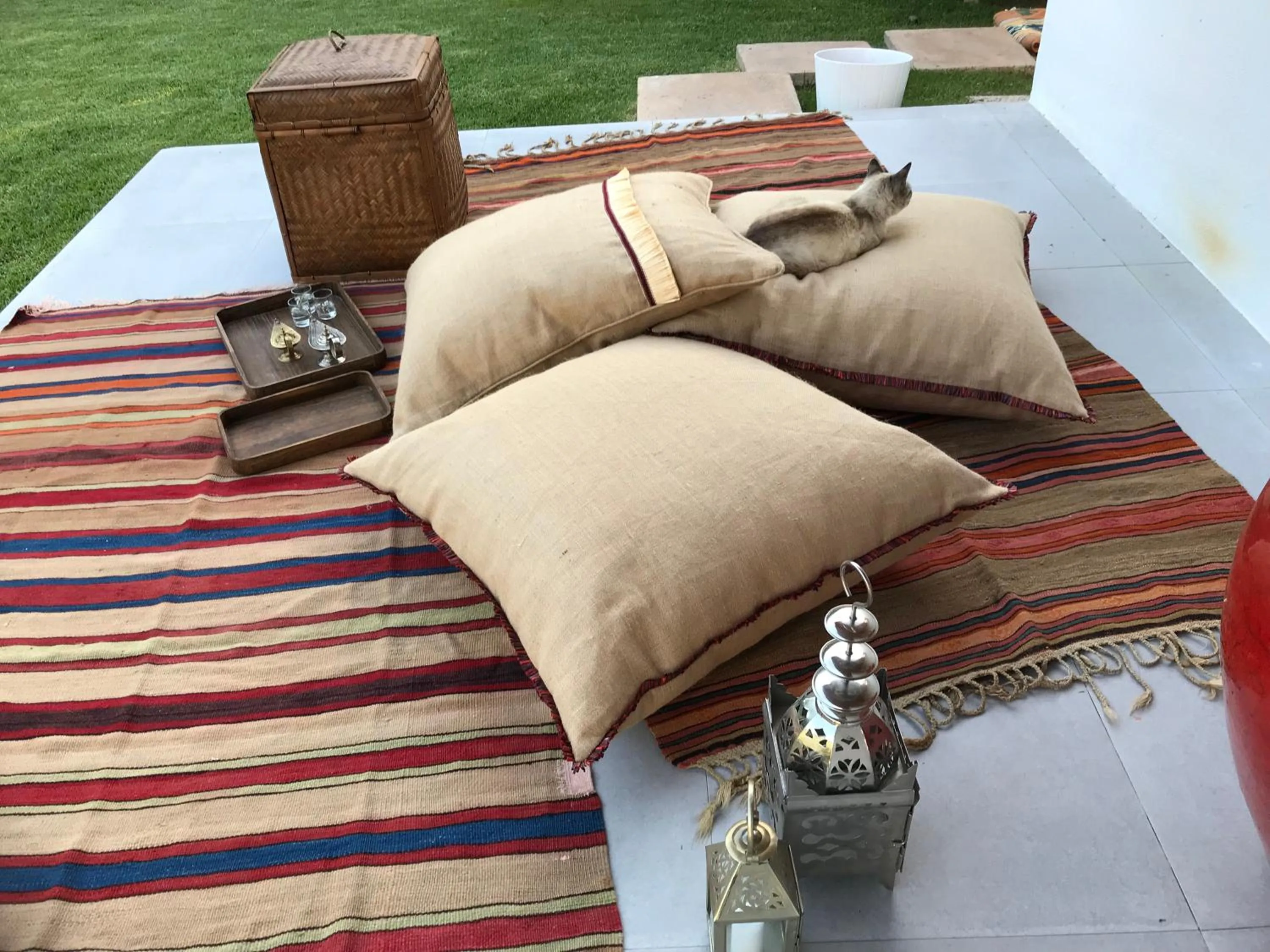 Garden in Cascais Casa Laranja Guesthouse