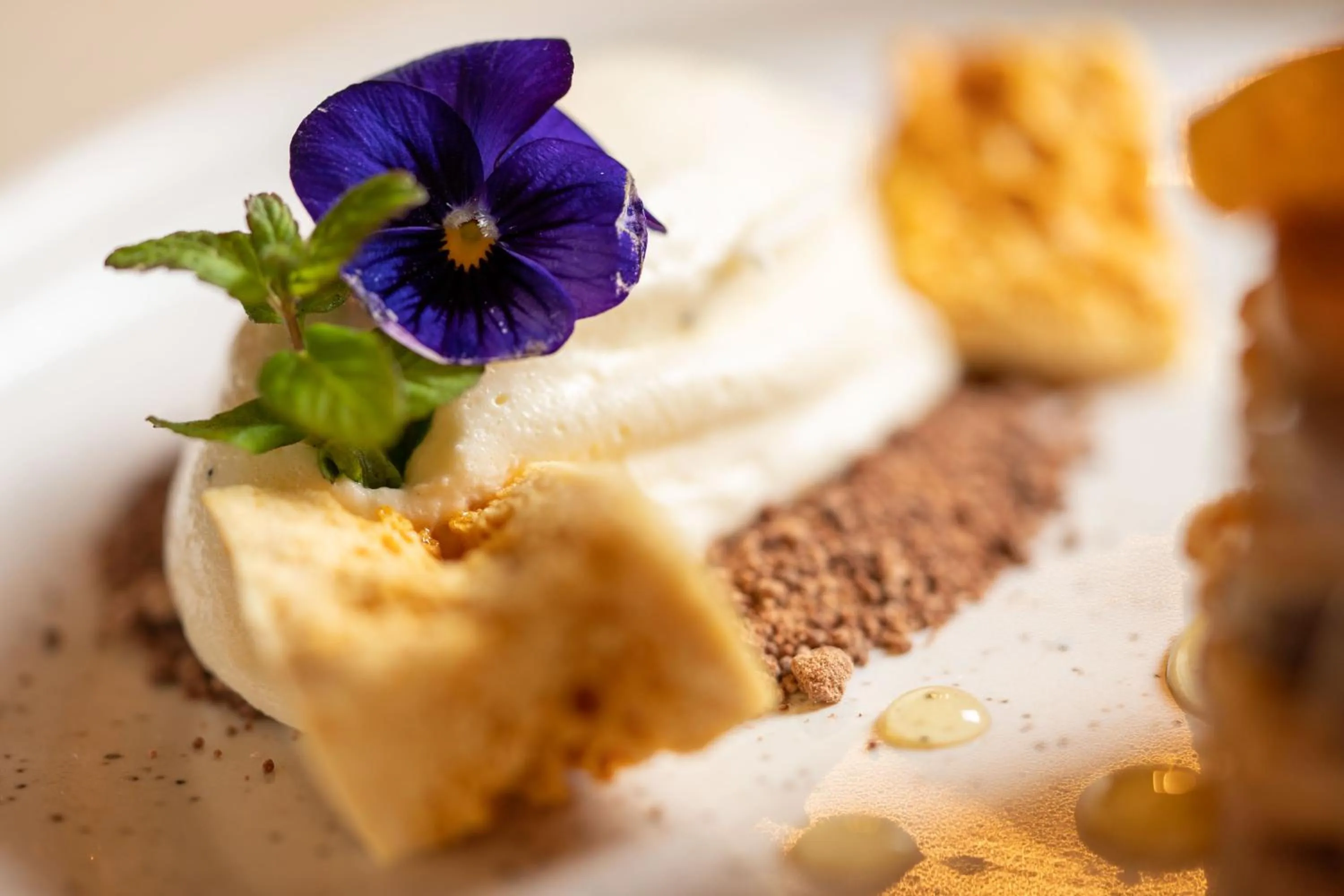 Restaurant/places to eat in No11 Boutique Hotel & Brasserie