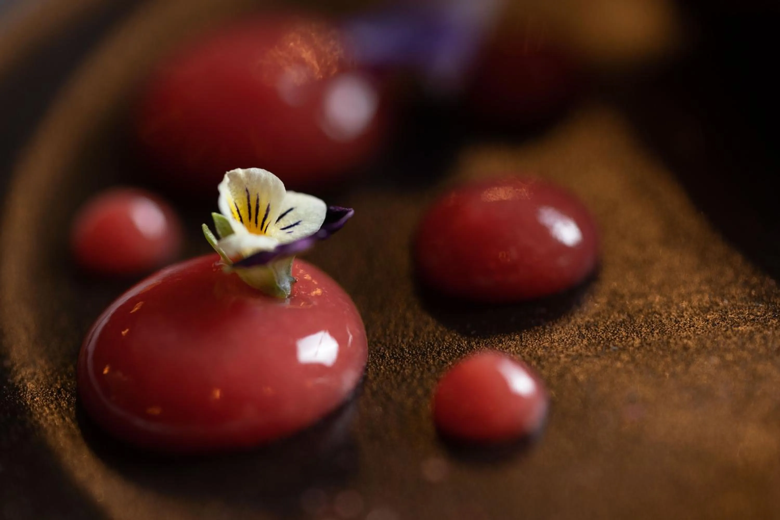 Restaurant/places to eat in No11 Boutique Hotel & Brasserie