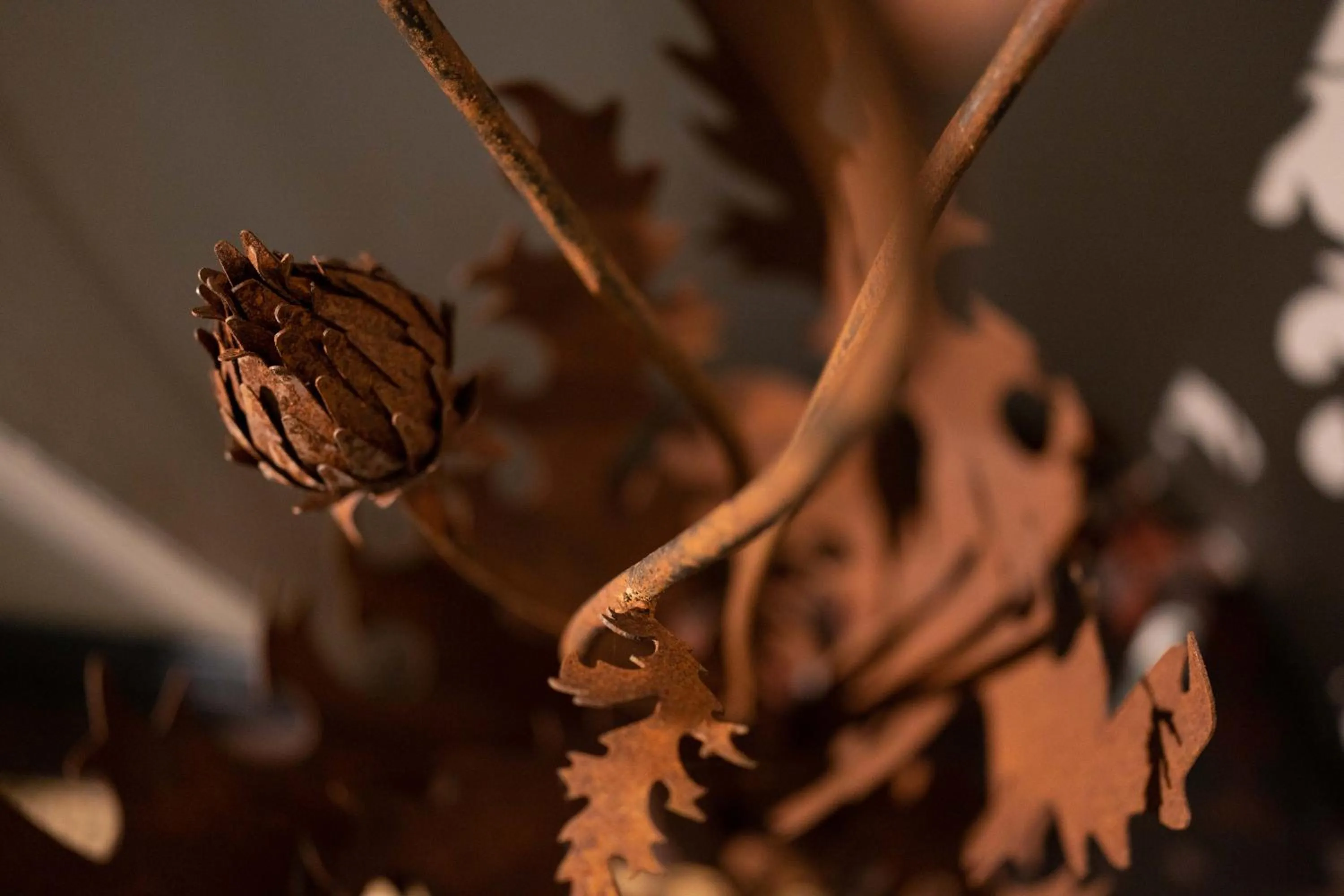 Facade/entrance in No11 Boutique Hotel & Brasserie