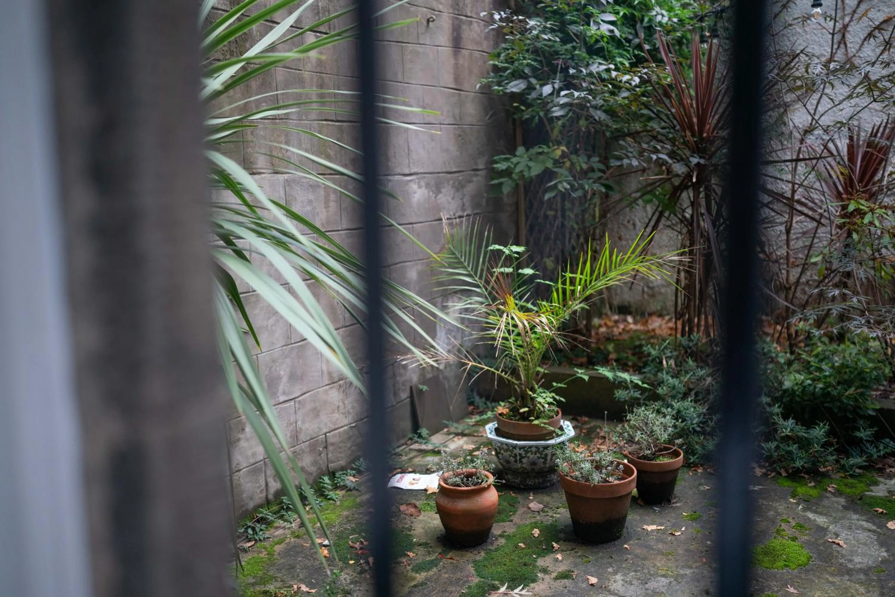 Garden view in No11 Boutique Hotel & Brasserie