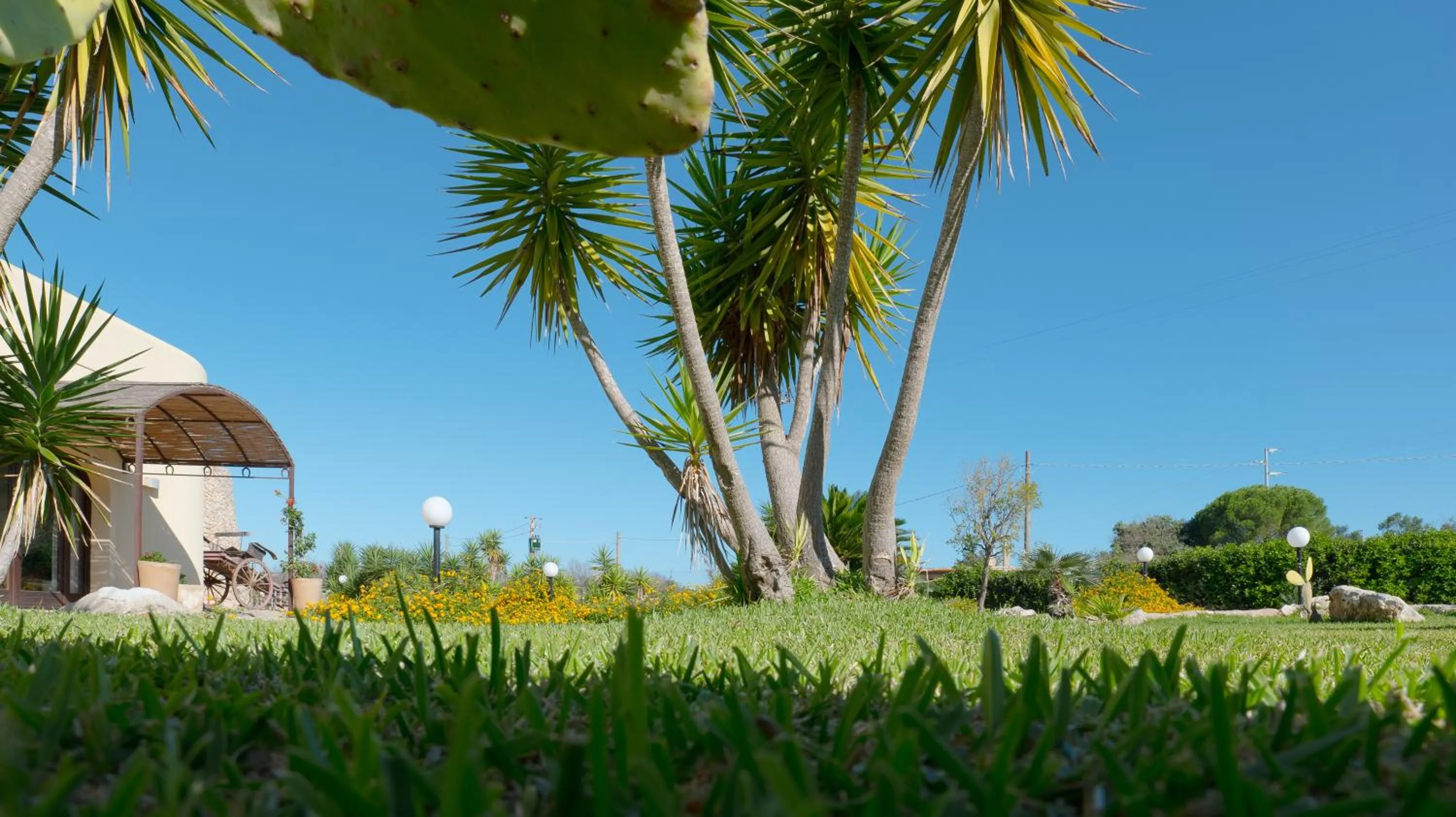 Property building in Delle Rose, Hotel & Horse Riding