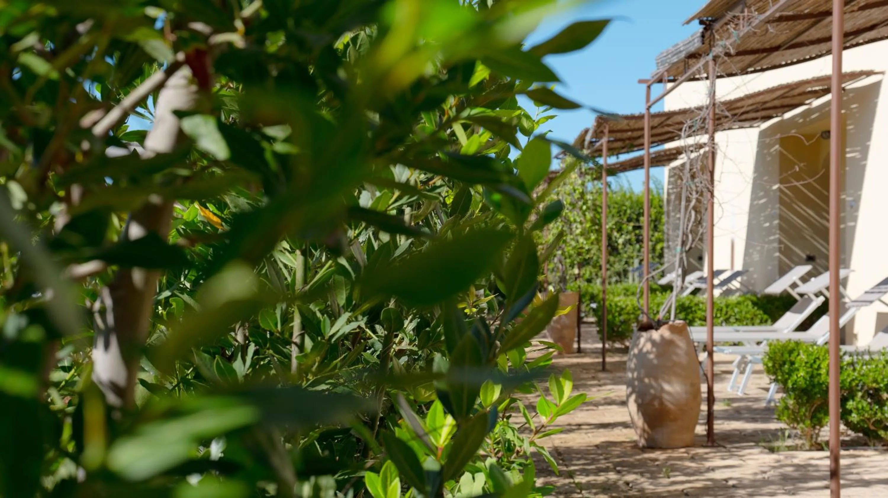 Property building in Delle Rose, Hotel & Horse Riding