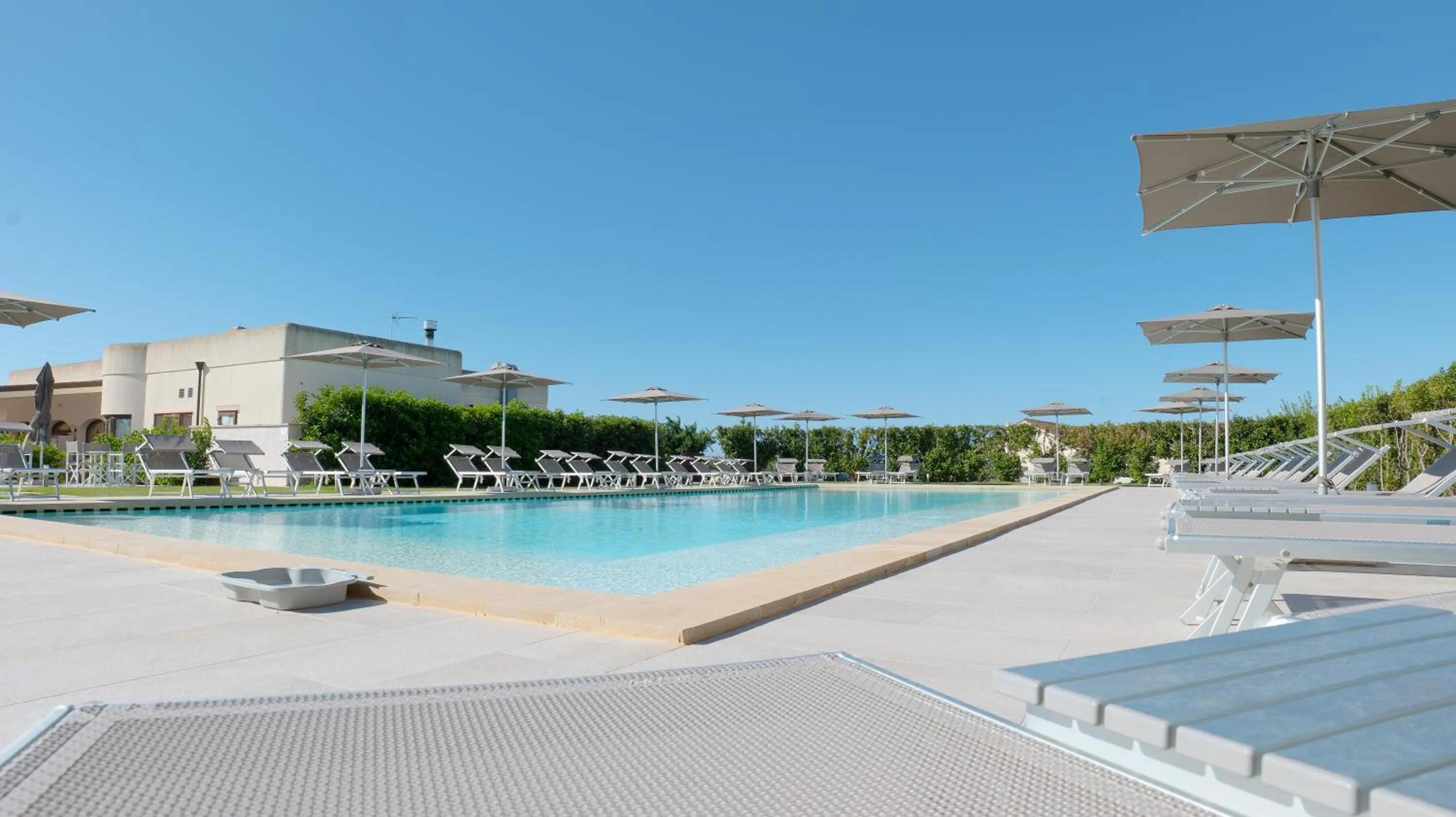 Swimming pool in Delle Rose, Hotel & Horse Riding