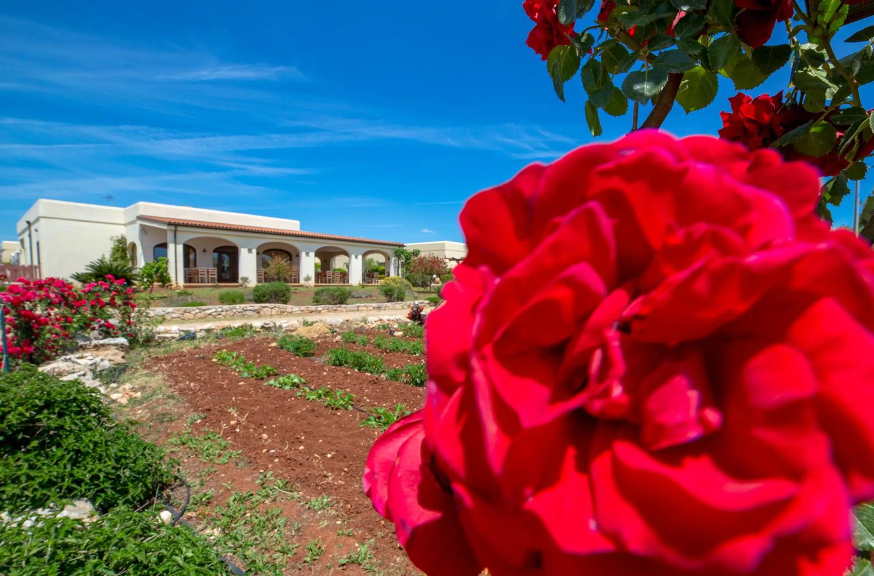 Property building in Delle Rose, Hotel & Horse Riding