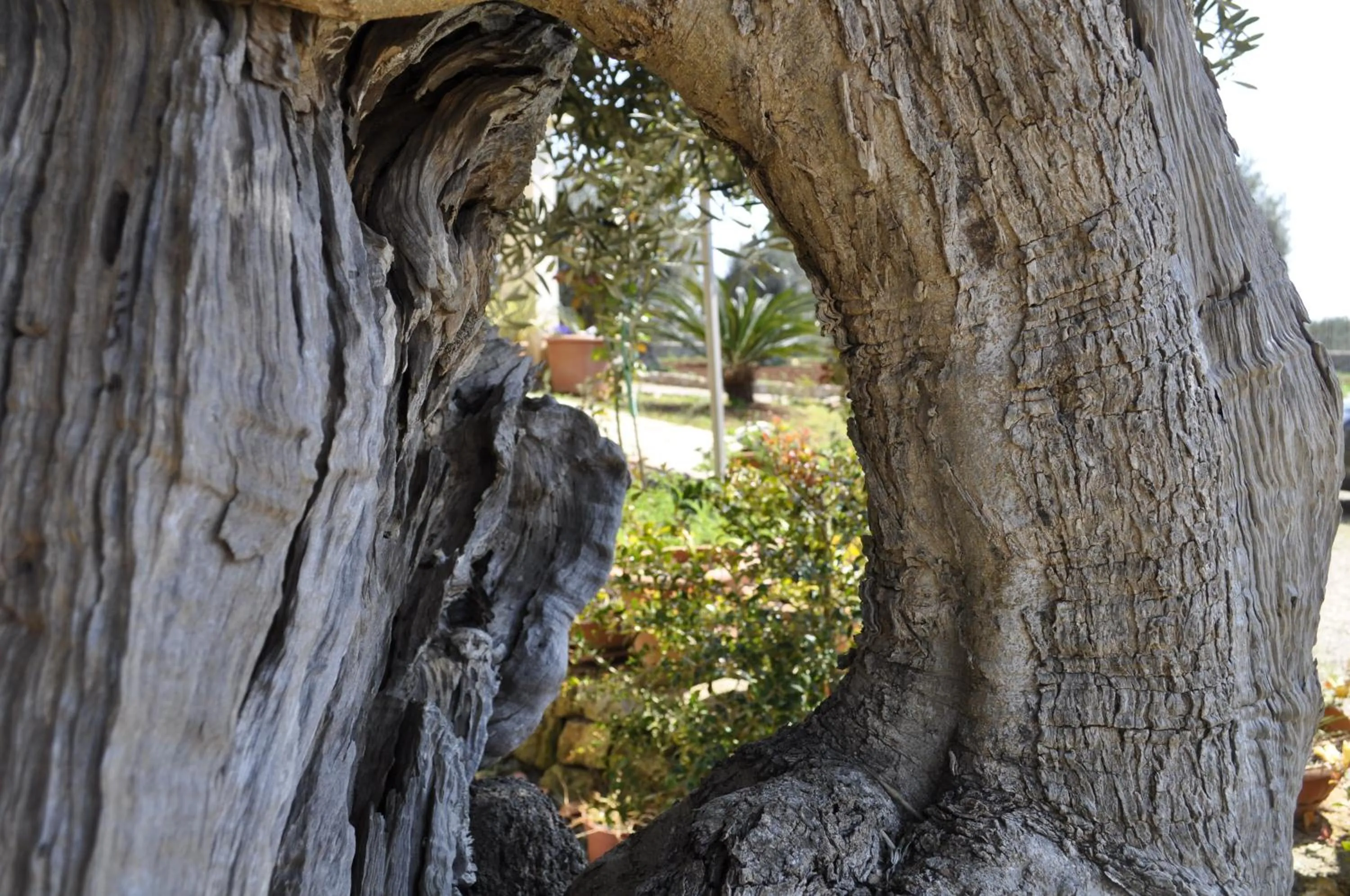 Other in Delle Rose, Hotel & Horse Riding