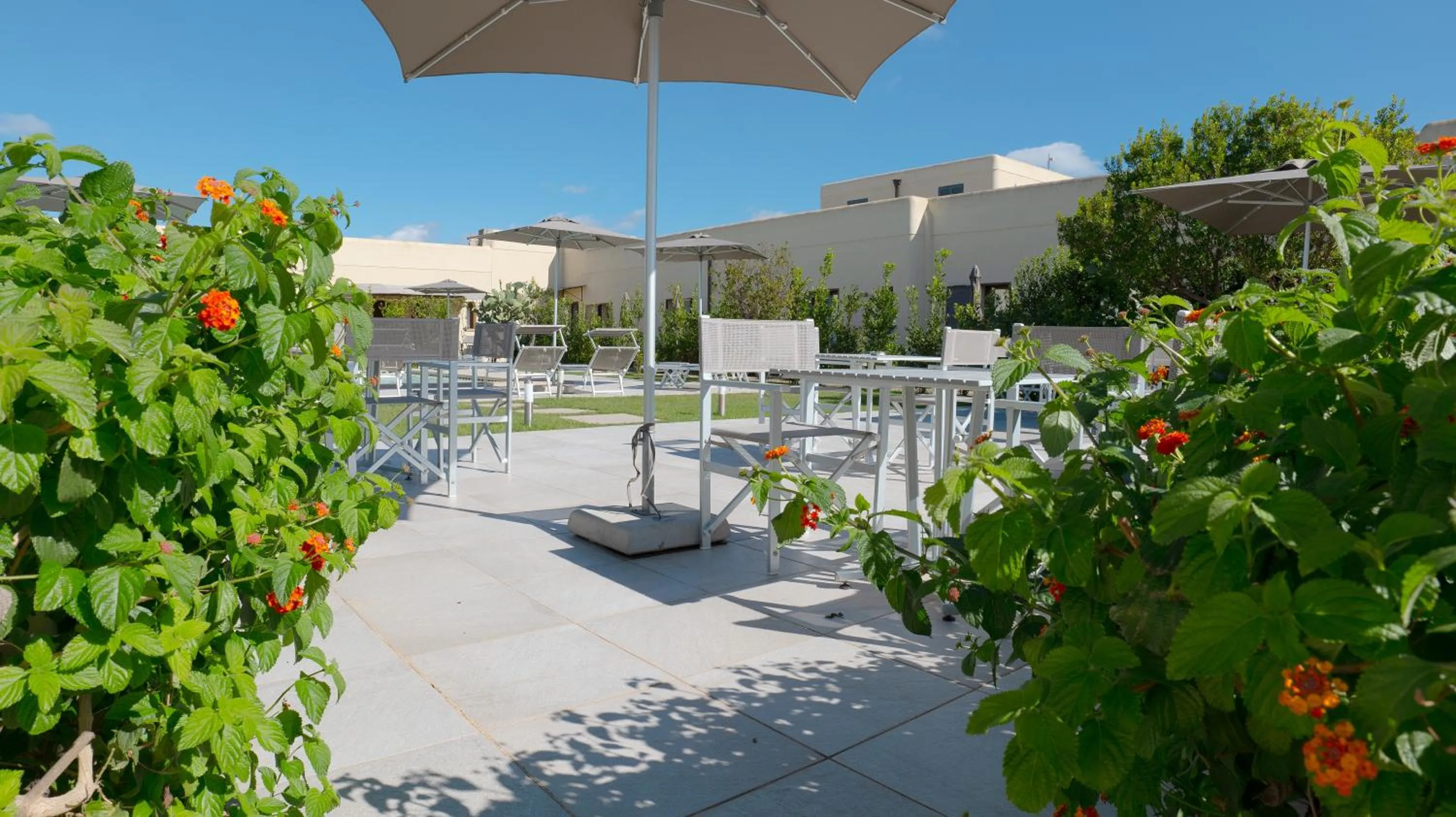 Swimming pool in Delle Rose, Hotel & Horse Riding