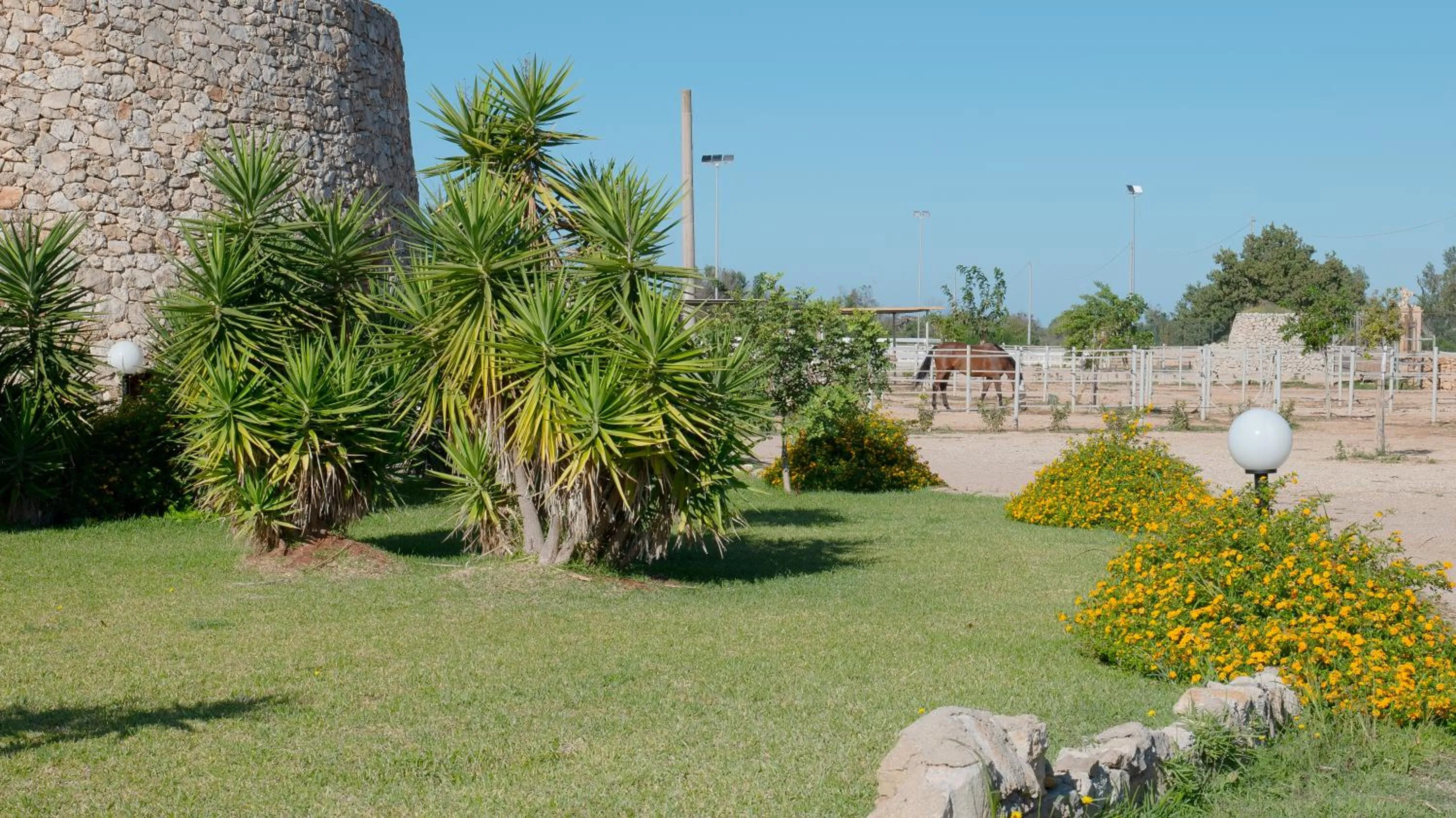 Property building in Delle Rose, Hotel & Horse Riding