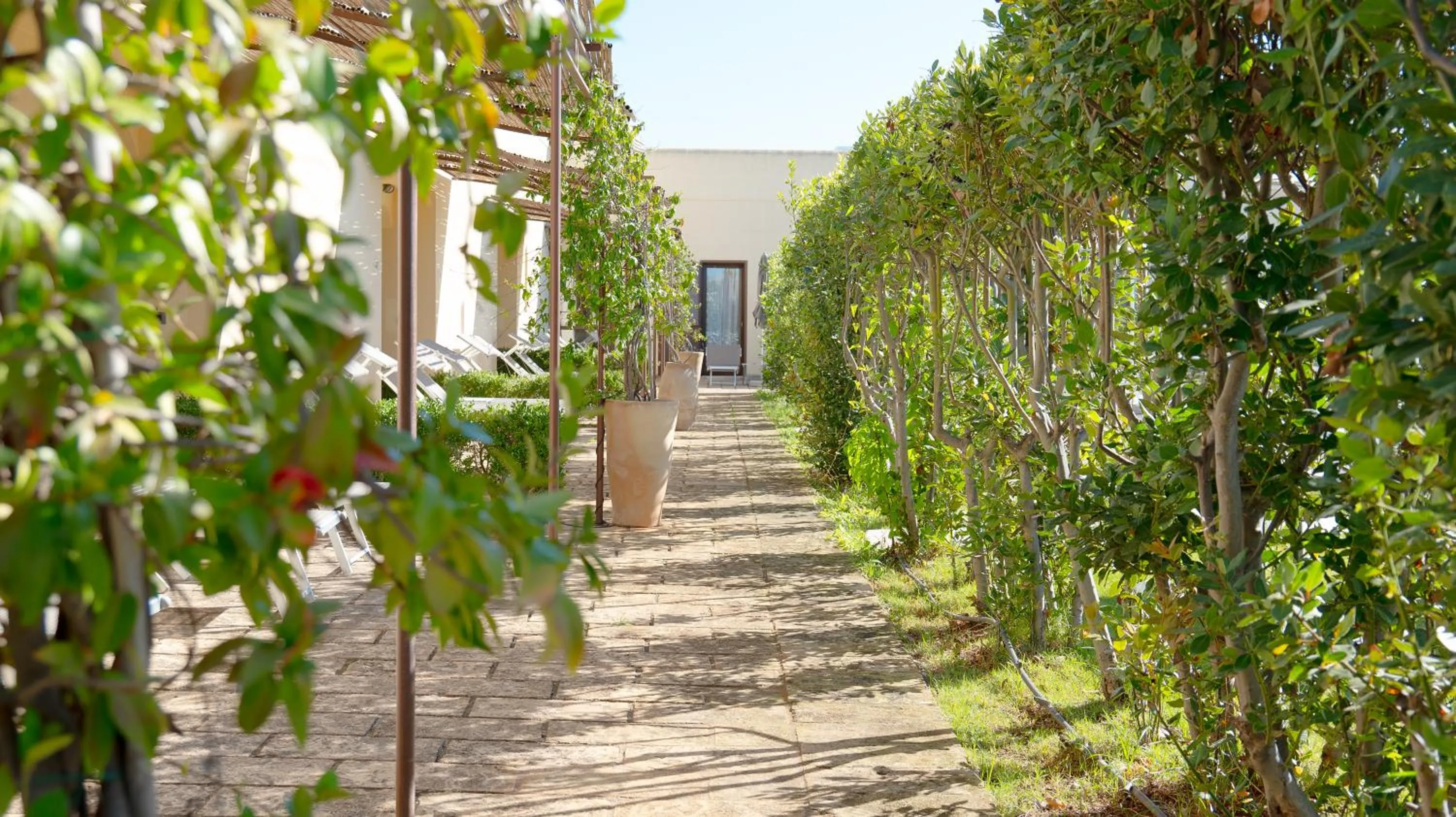 Property building in Delle Rose, Hotel & Horse Riding