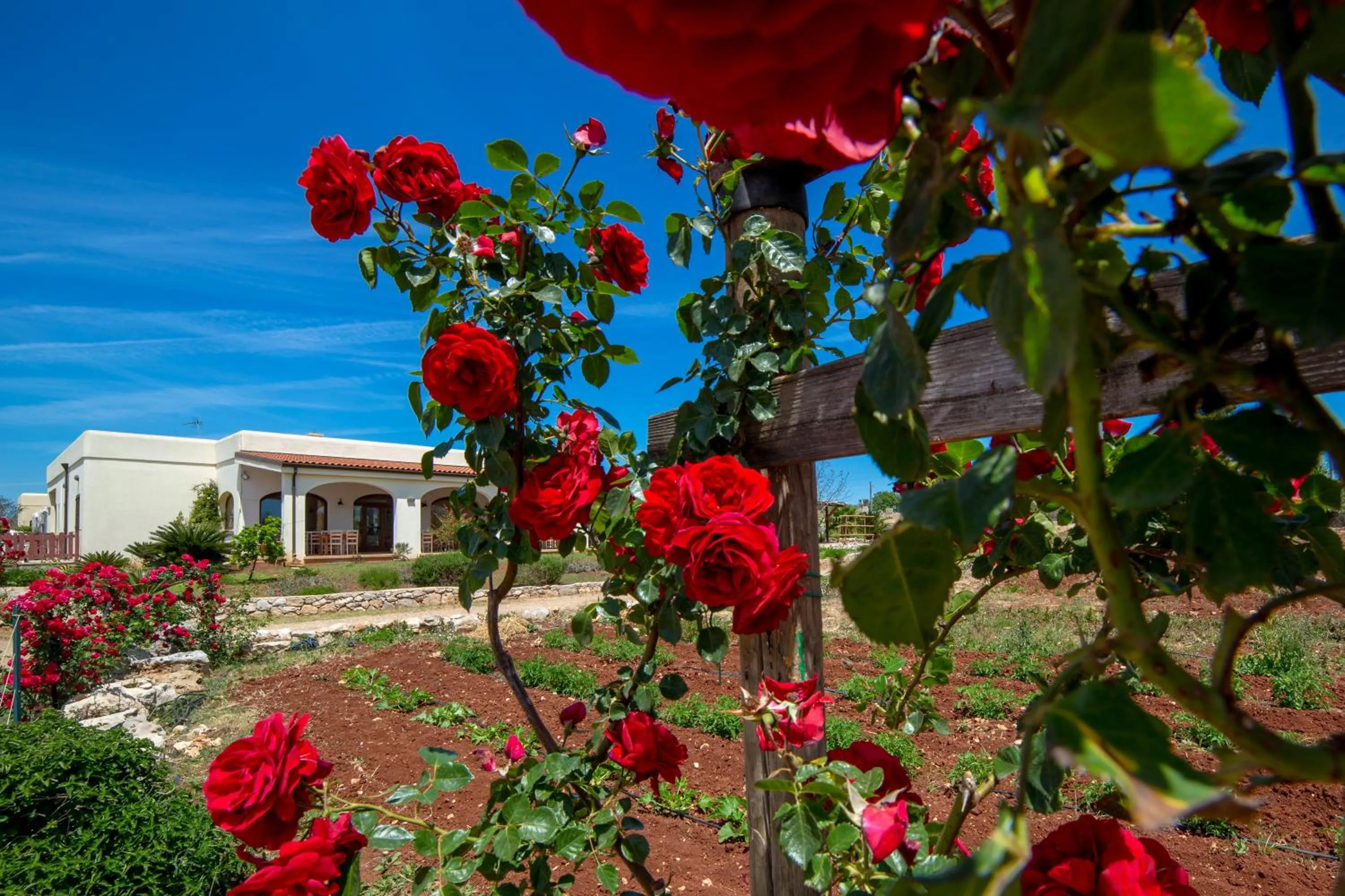 Property building in Delle Rose, Hotel & Horse Riding