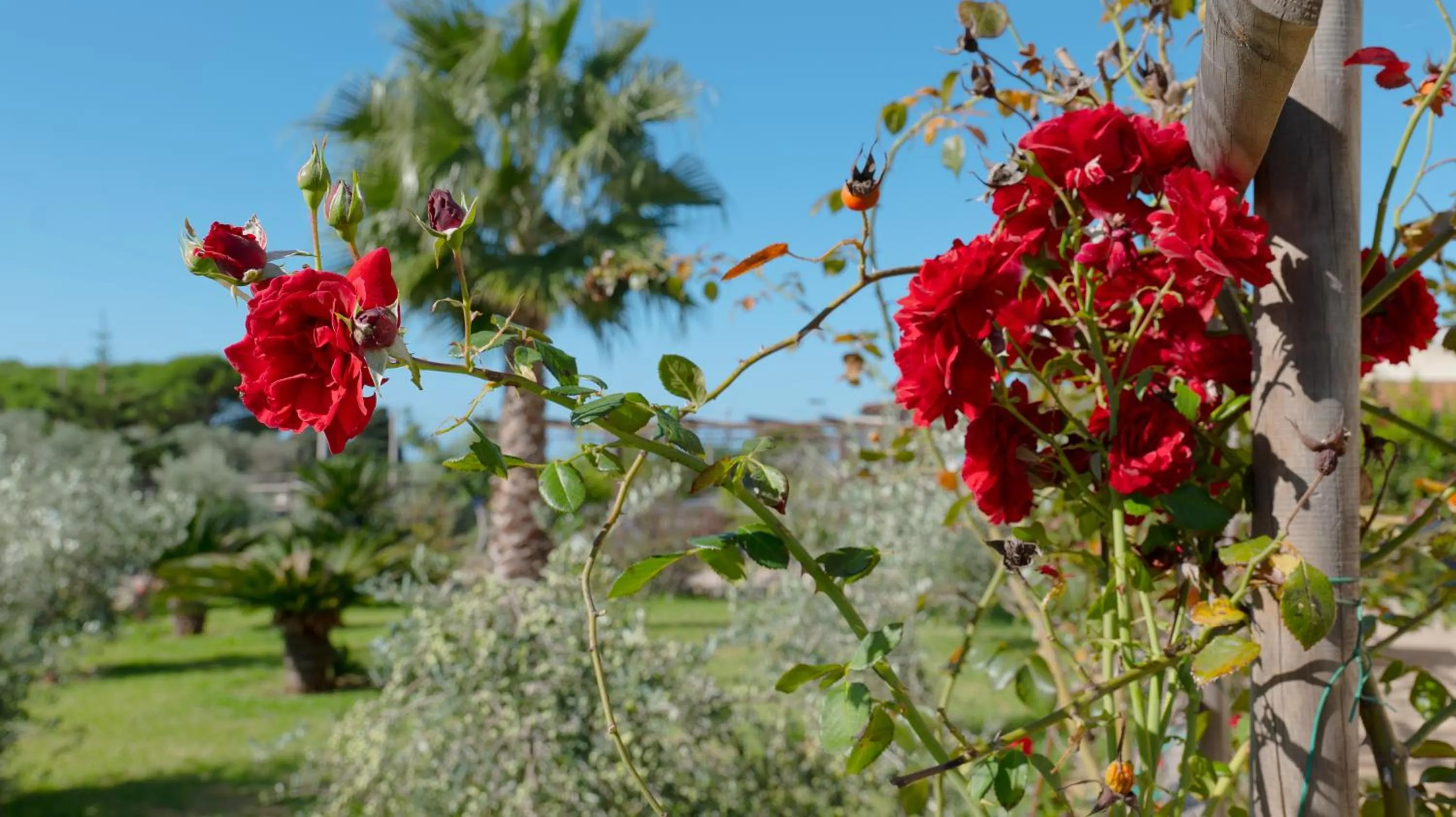 Decorative detail in Delle Rose, Hotel & Horse Riding