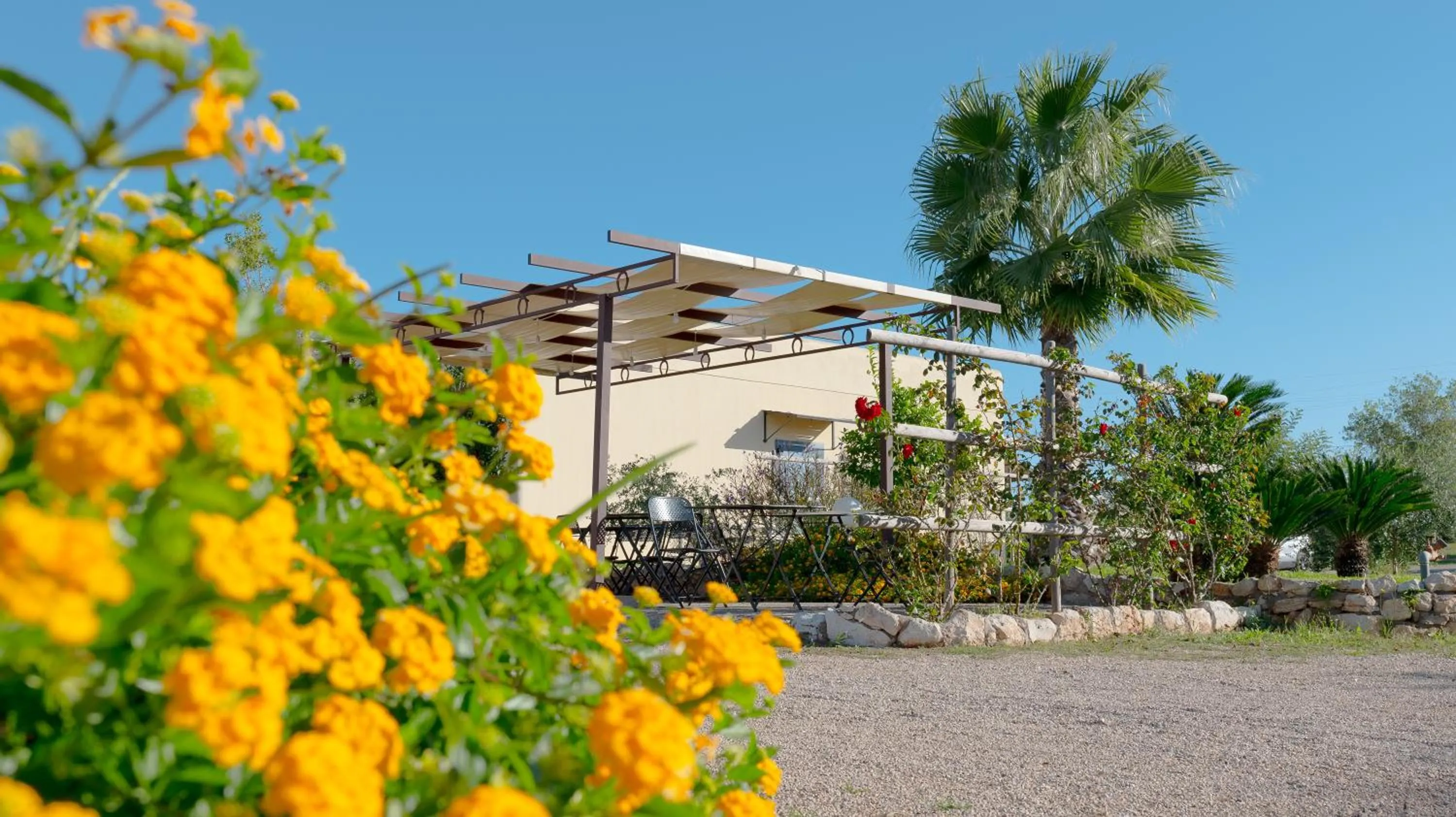 Property building in Delle Rose, Hotel & Horse Riding