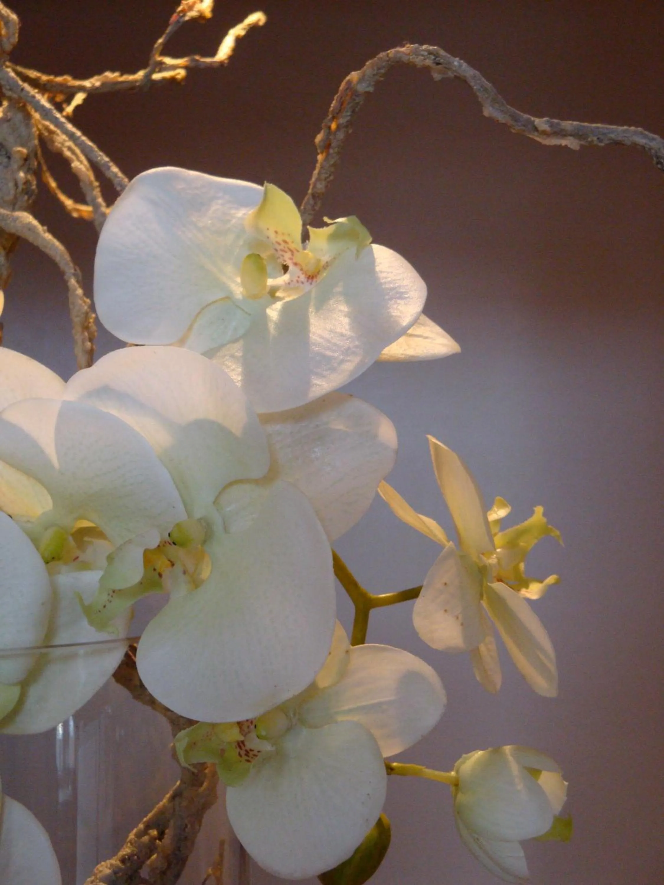 Lobby or reception in Hôtel L'Auberge Alsacienne