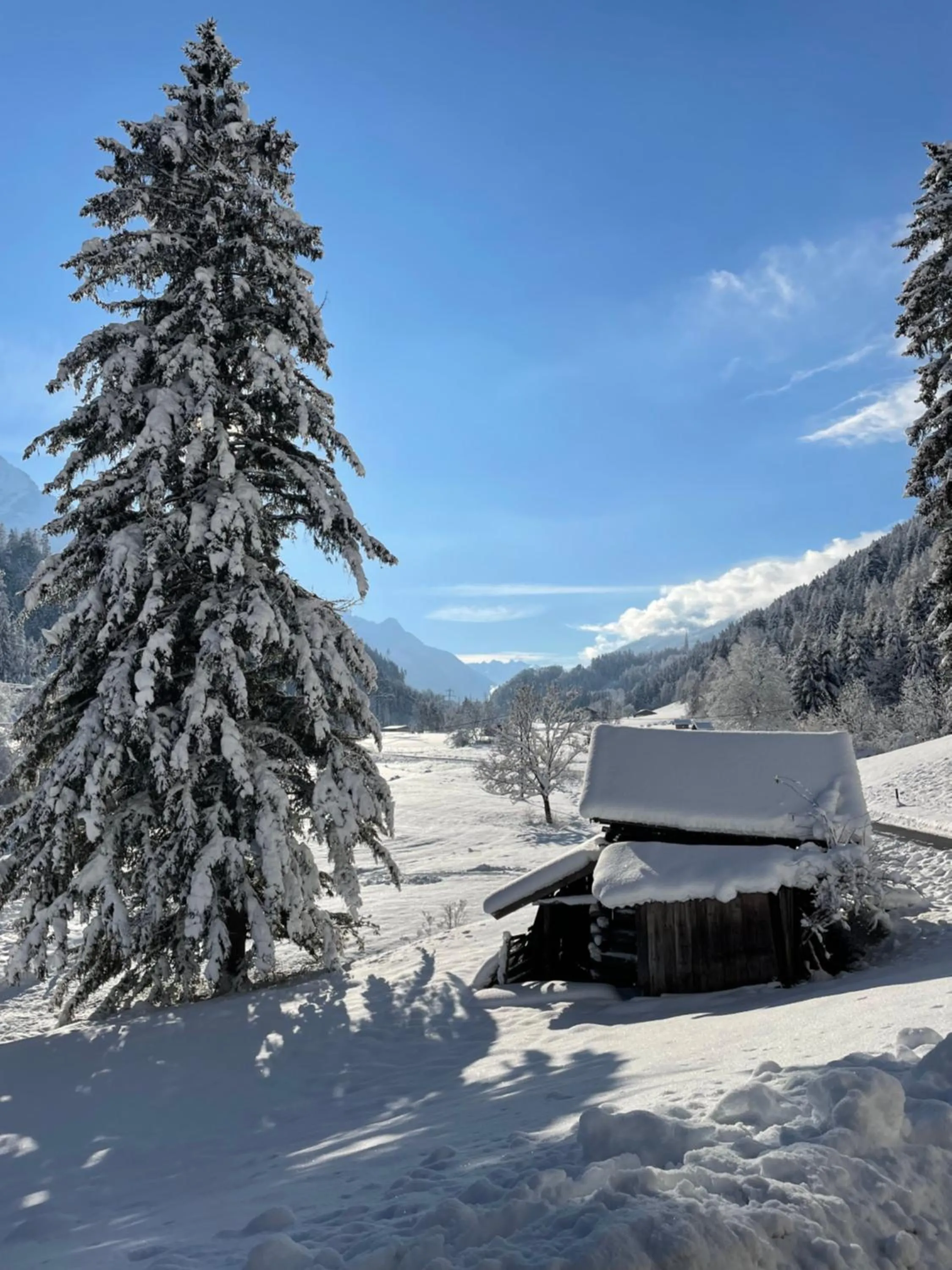 Winter in Ferienwohnung Mondial