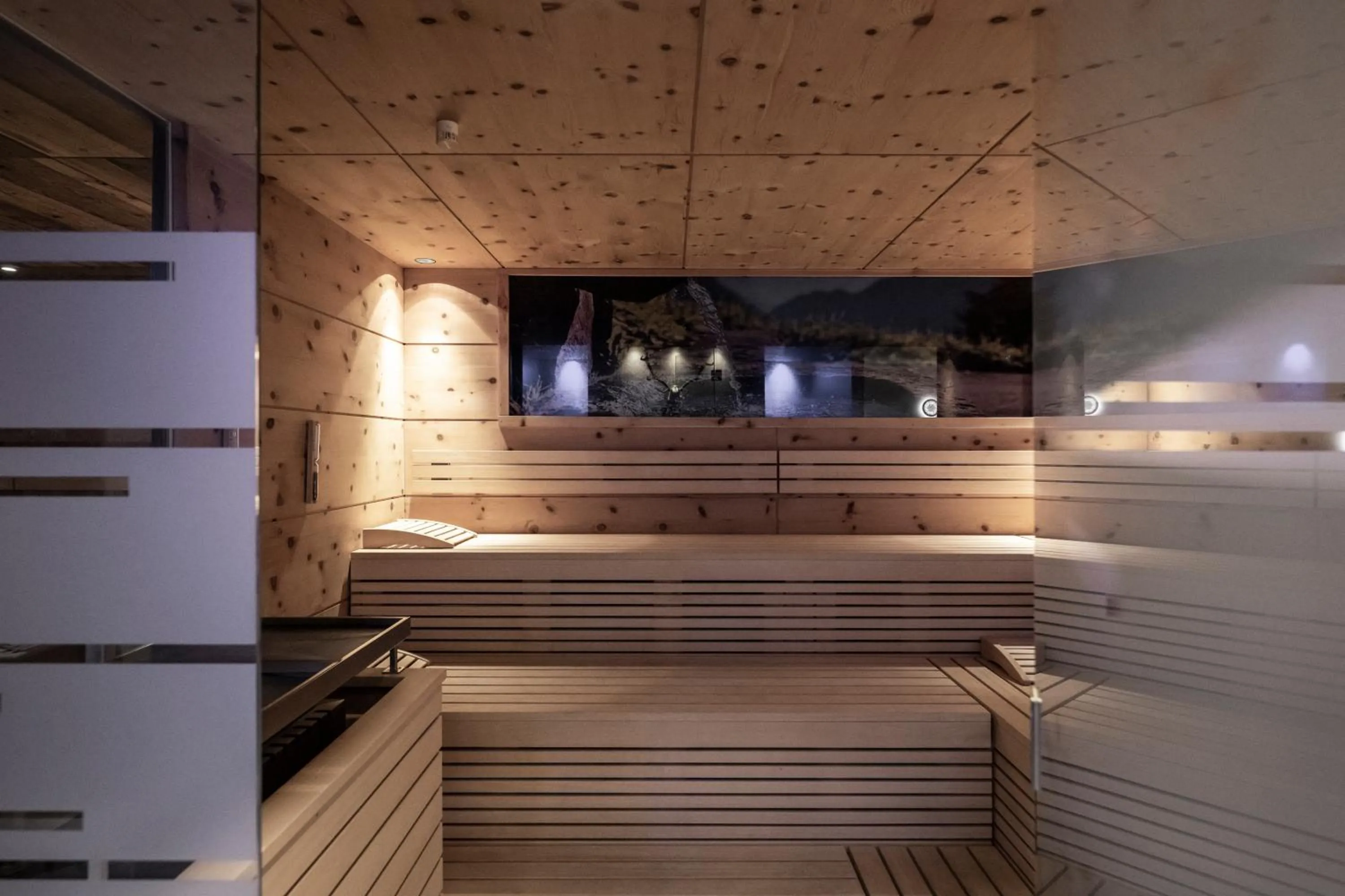 Sauna in Hotel Viertler