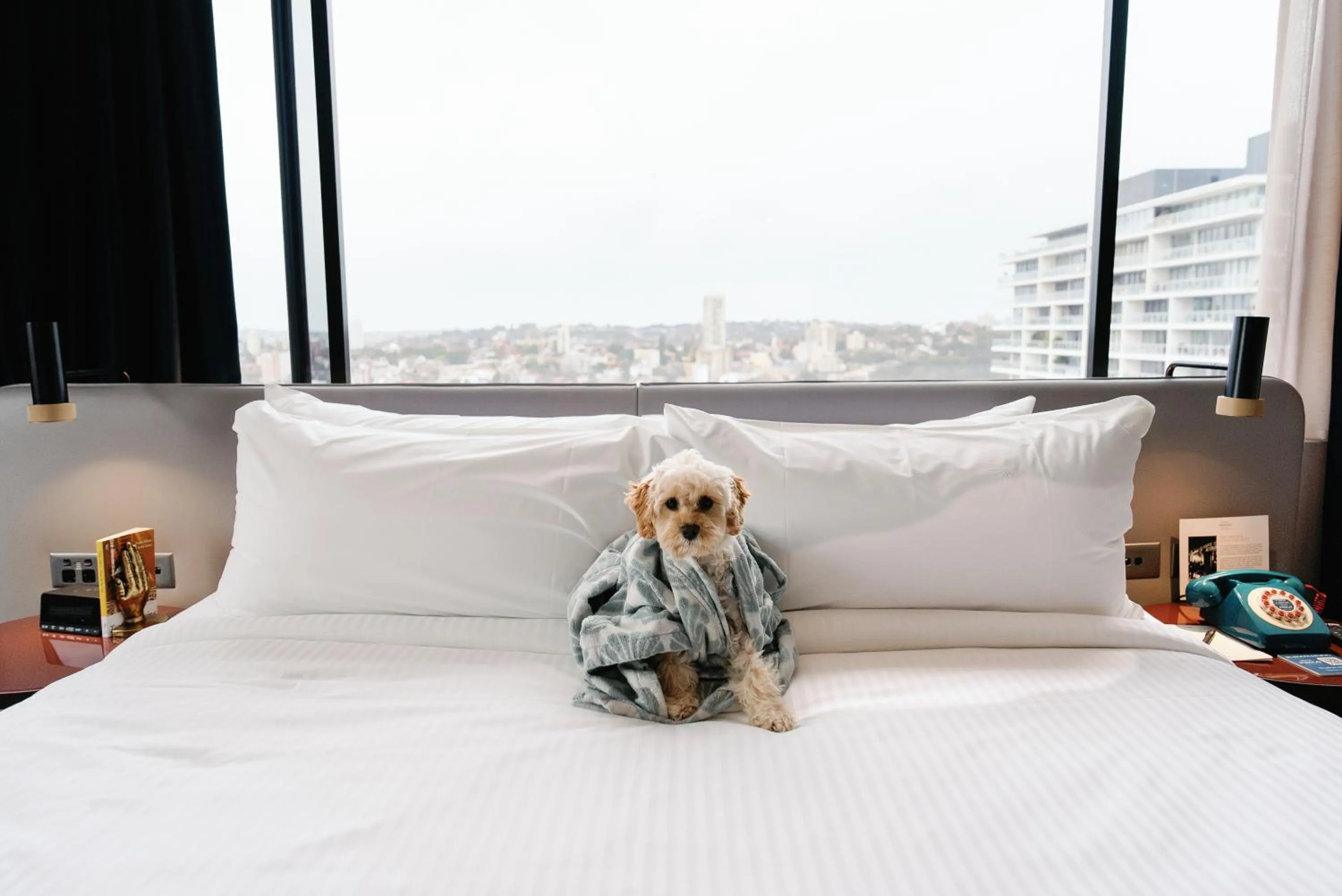 Bedroom, Bed in Hotel Indigo Sydney Potts Point by IHG