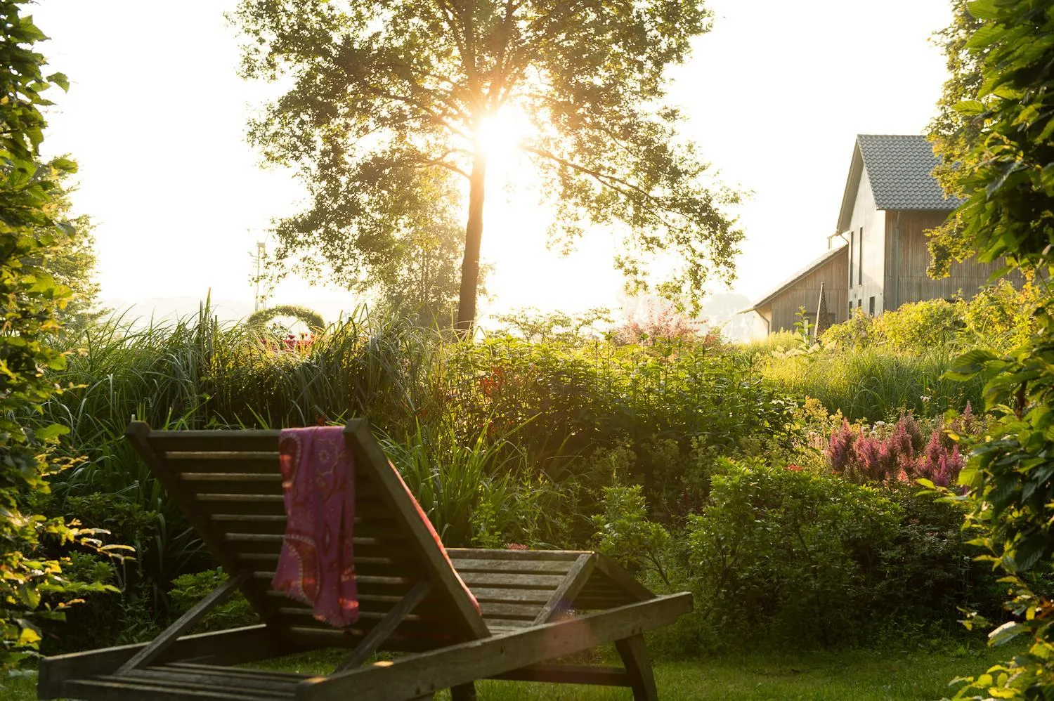 View (from property/room) in Hotel Gut Bardenhagen