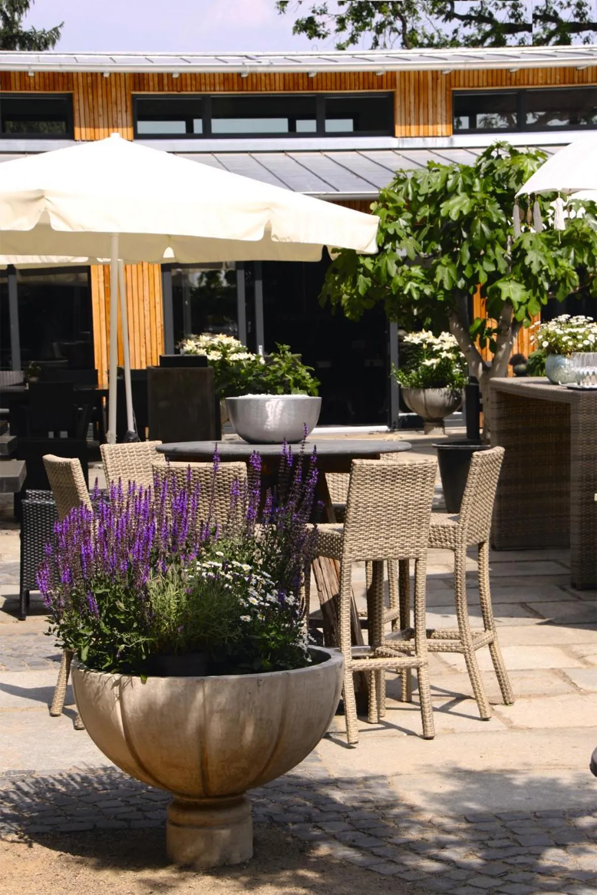 Patio in Hotel Gut Bardenhagen