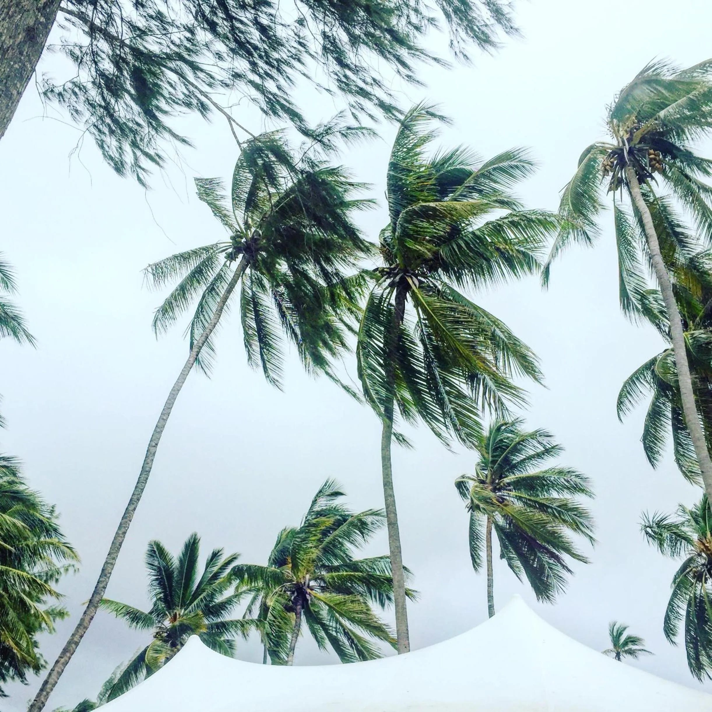 Lounge or bar in B4 Beach Club