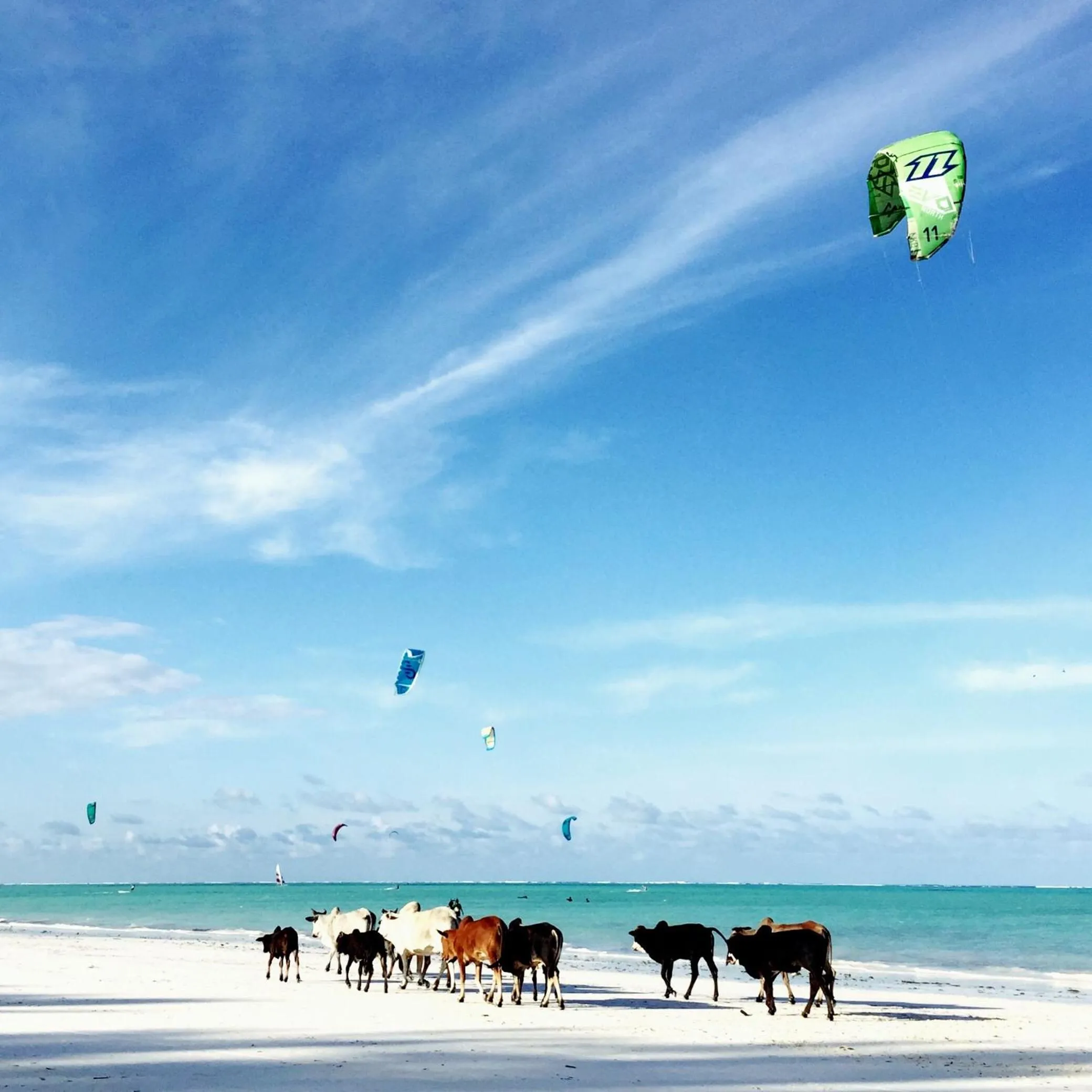 Beach in B4 Beach Club