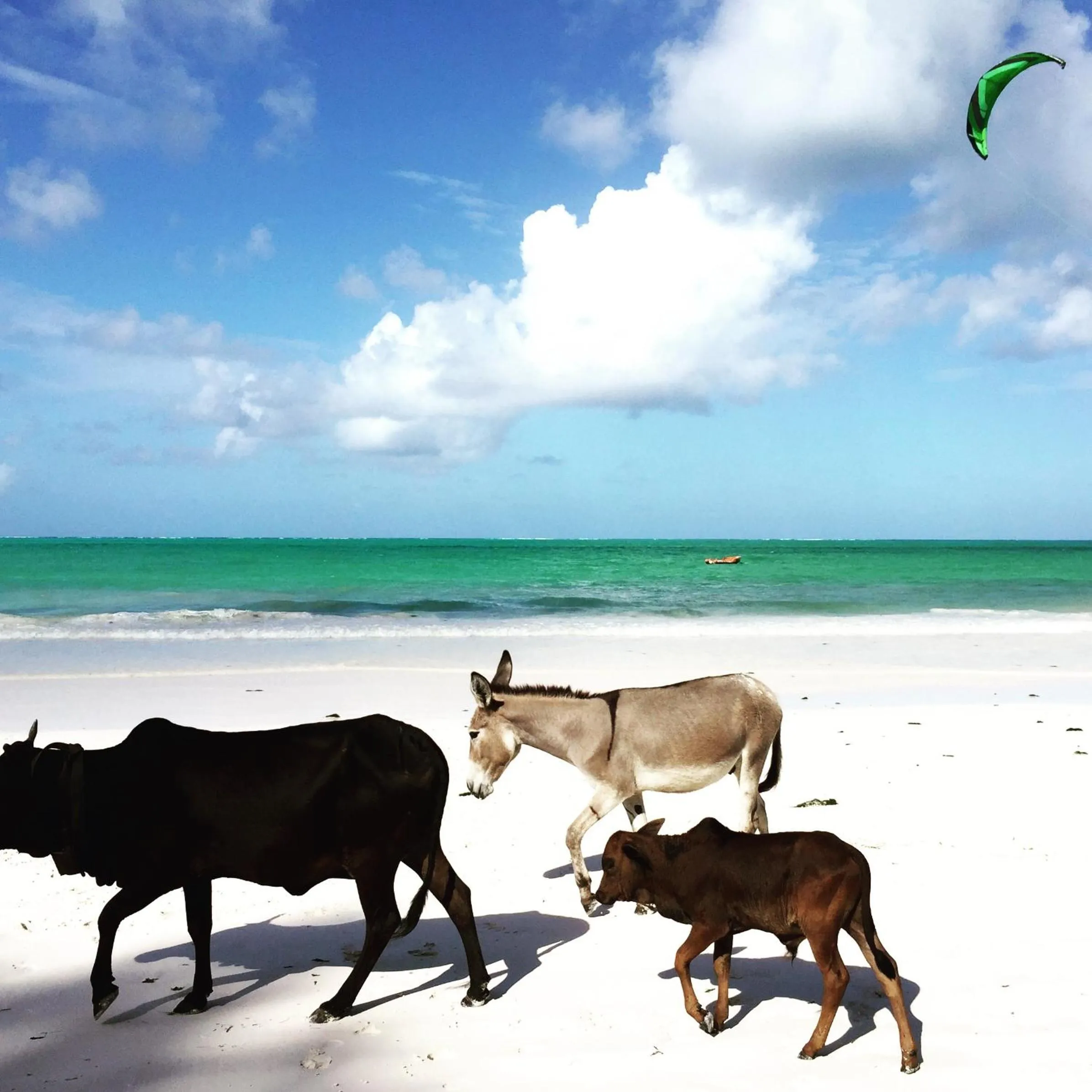 Beach in B4 Beach Club