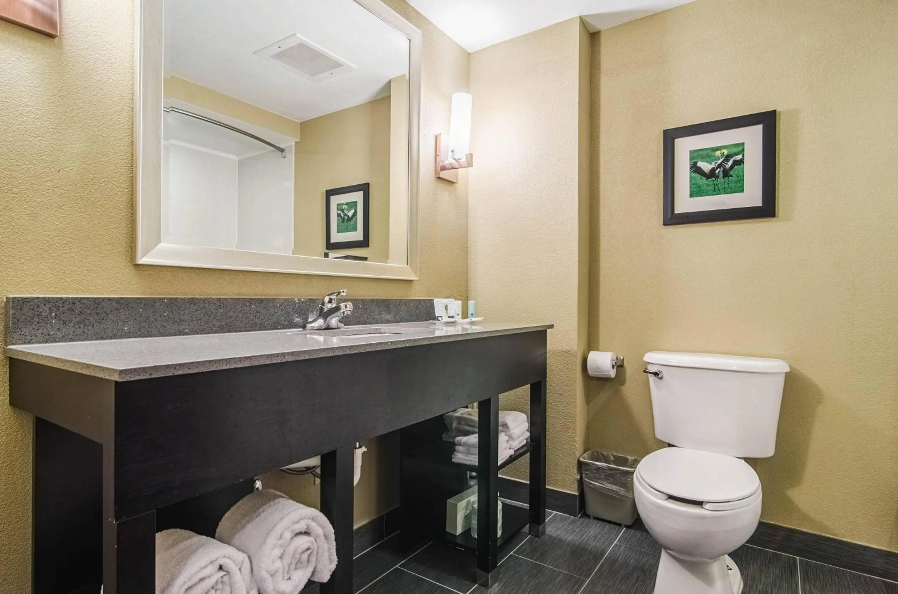 Bedroom in Quality Suites Graham - Burlington South