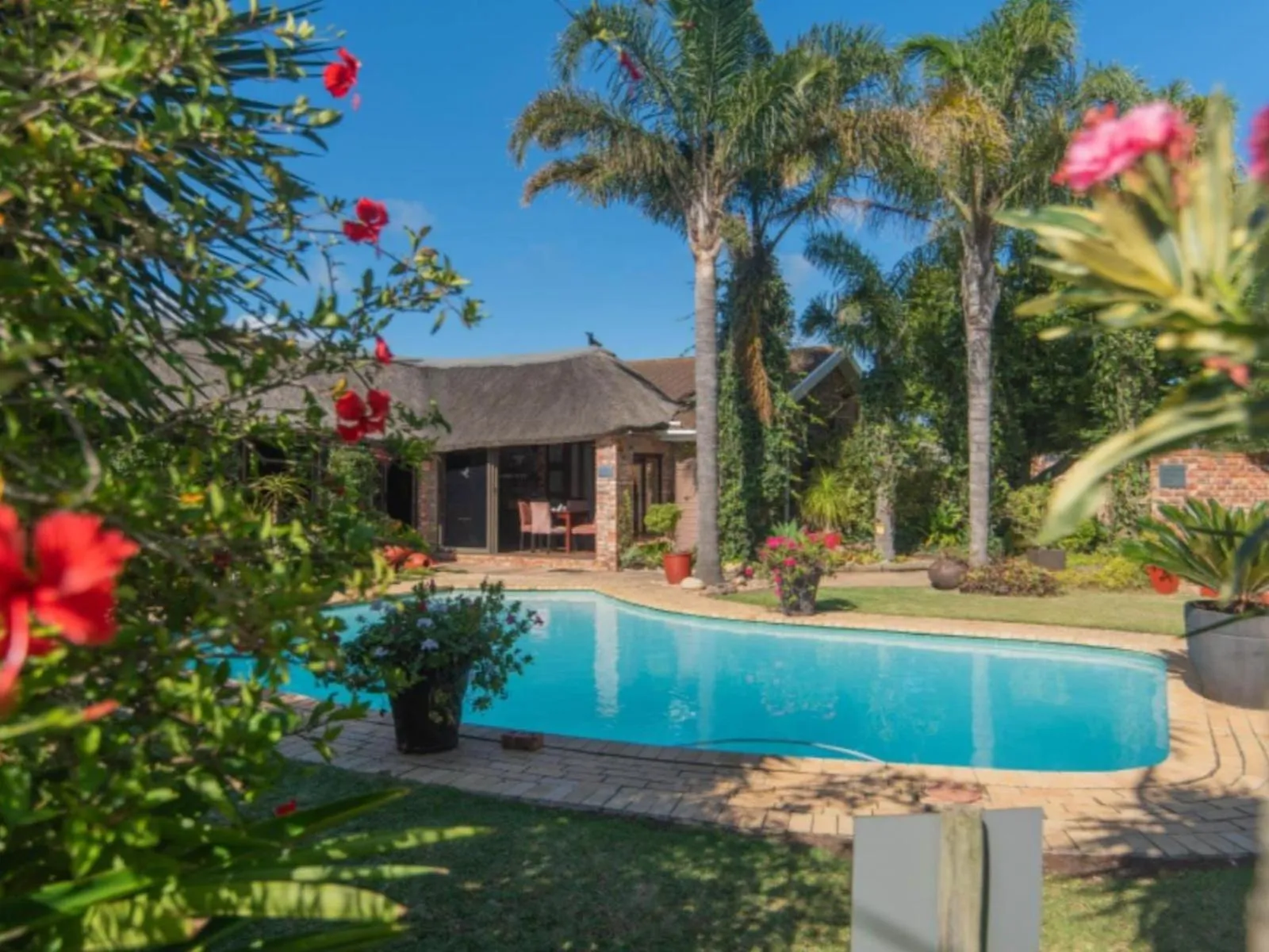 Swimming pool in Amani Guest Lodge