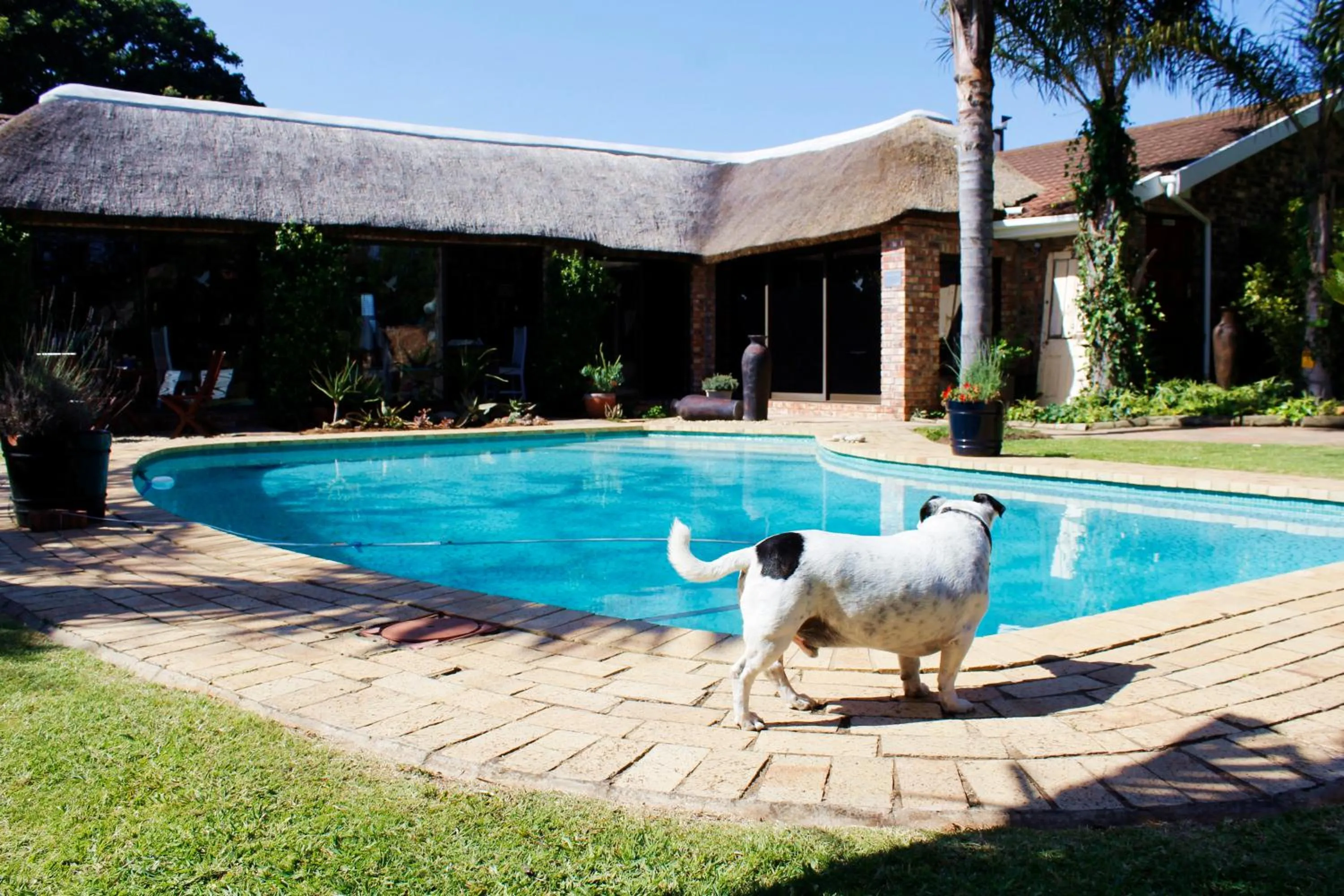 Pool view in Amani Guest Lodge