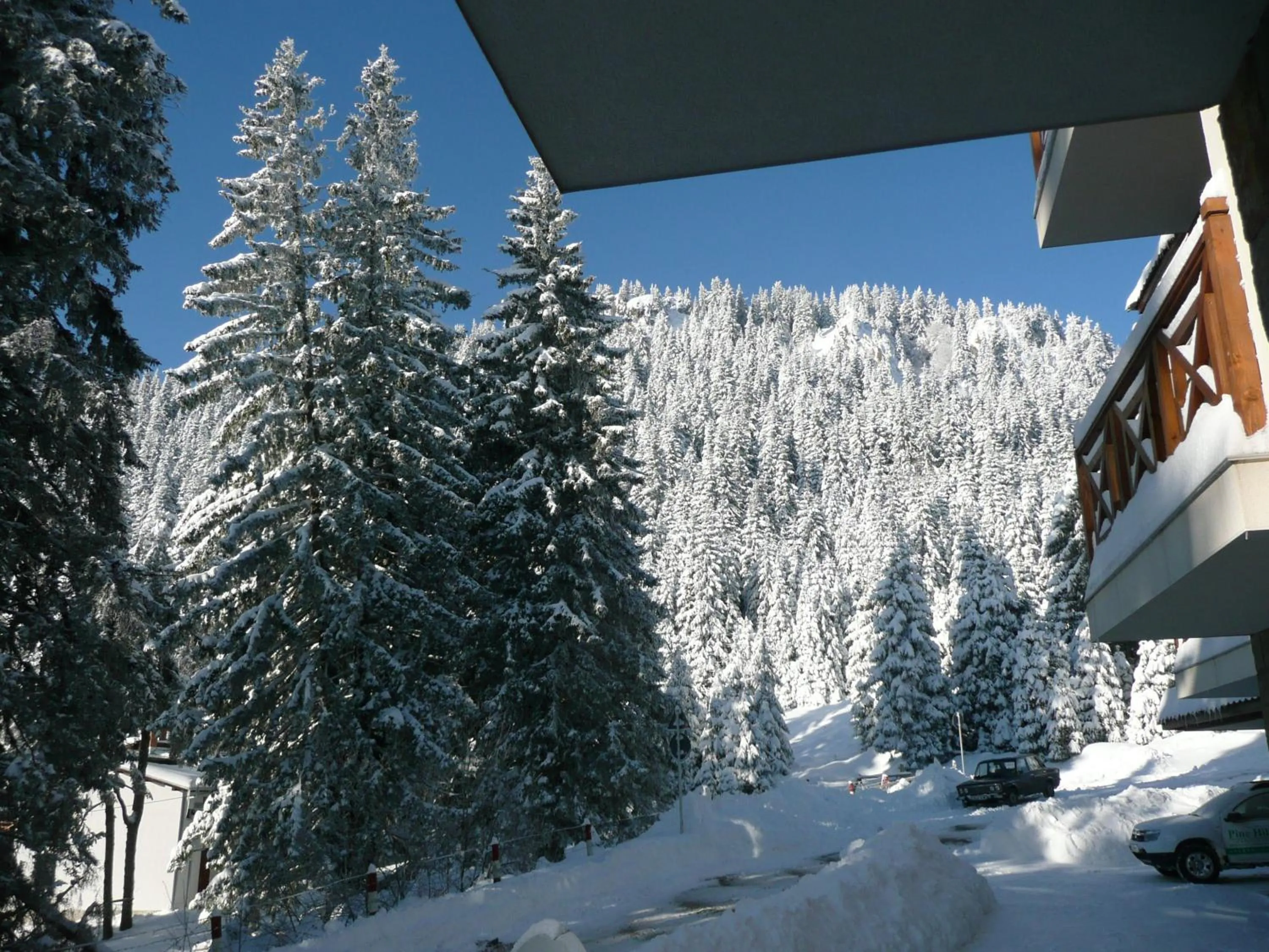 Natural landscape in Aparthotel Pine Hills Pamporovo