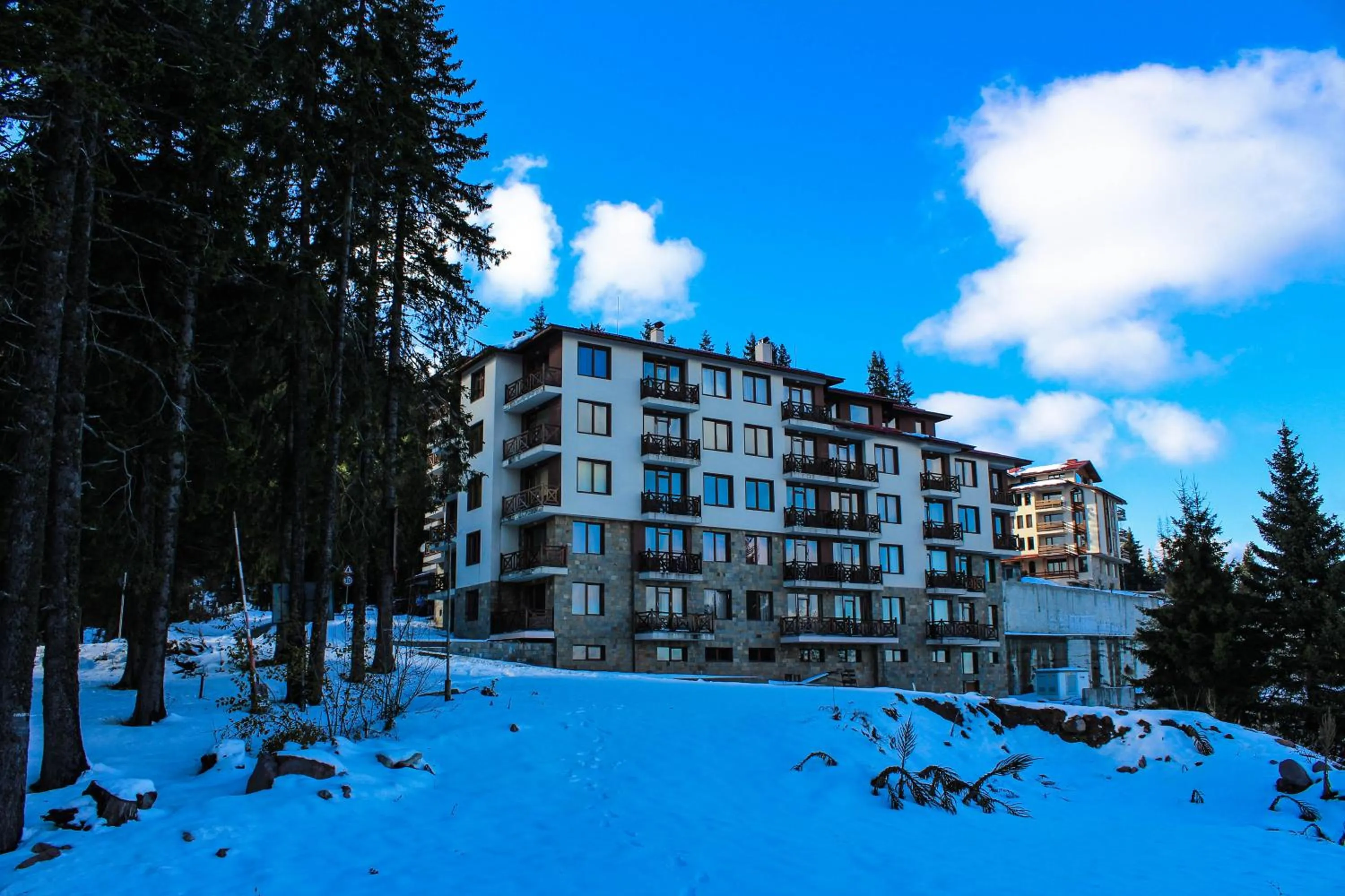 Property building in Aparthotel Pine Hills Pamporovo