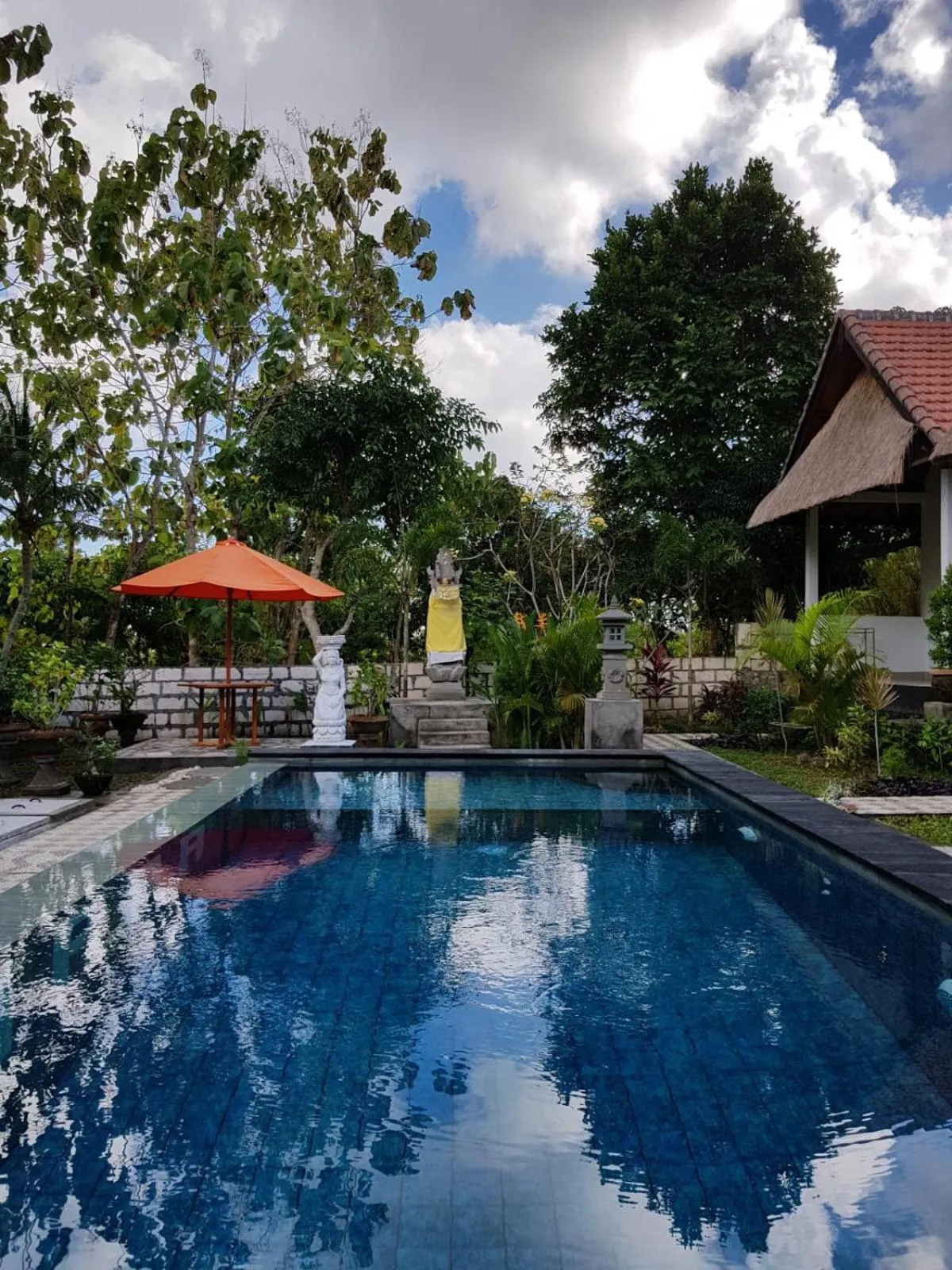 Swimming pool in Japa Bungalow