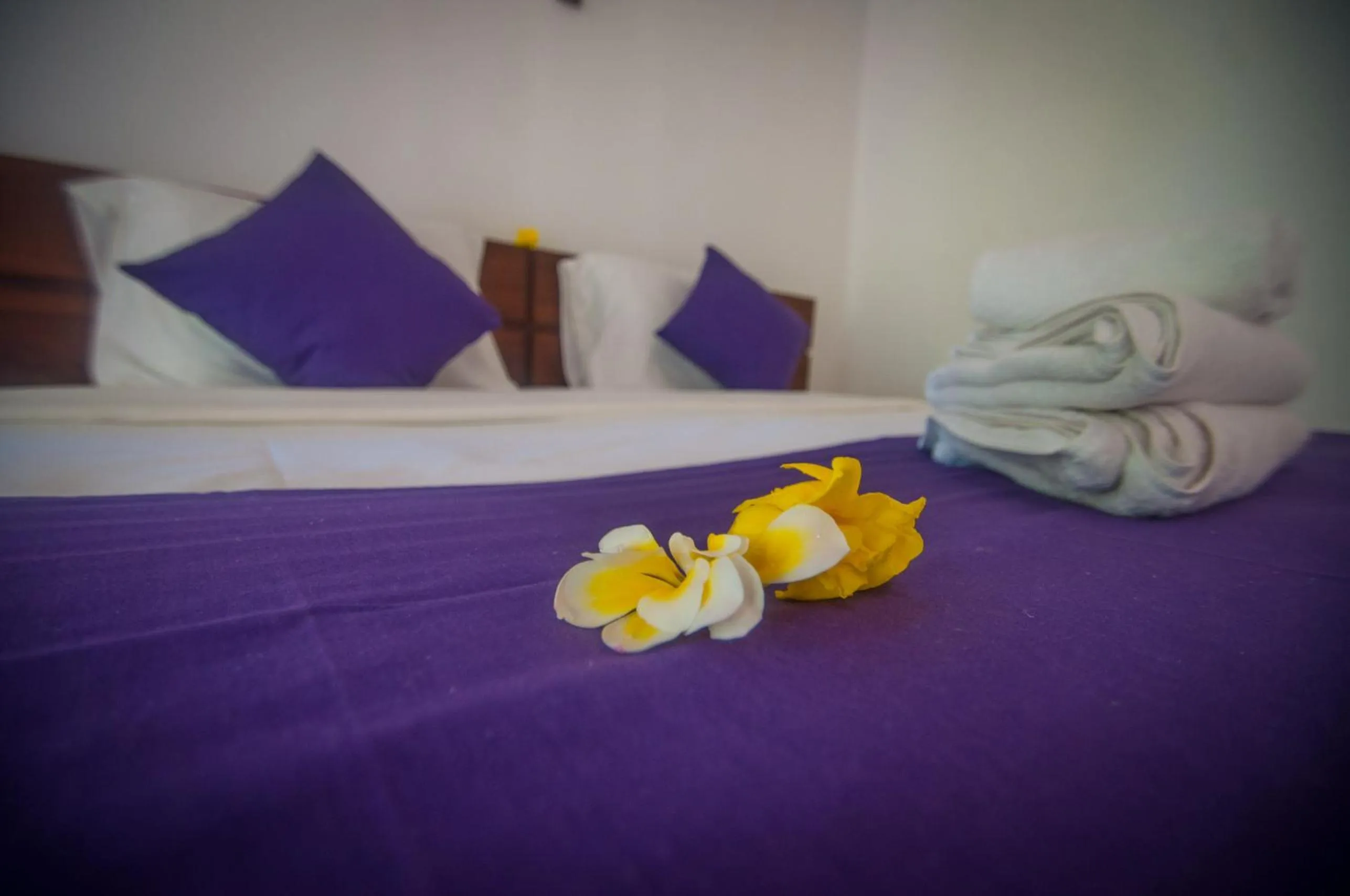 Bed in Japa Bungalow