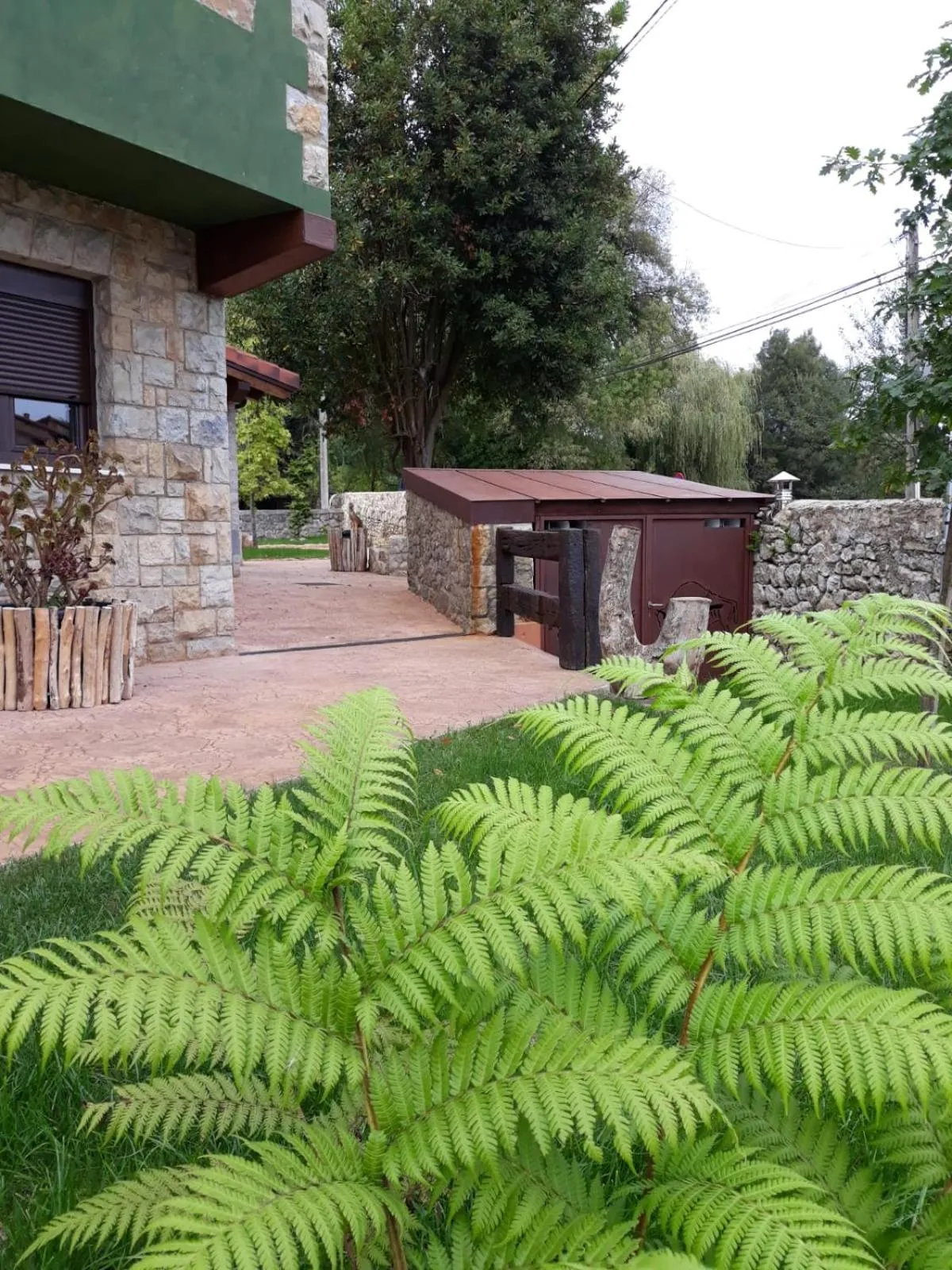Las Cavernas Del Bisonte