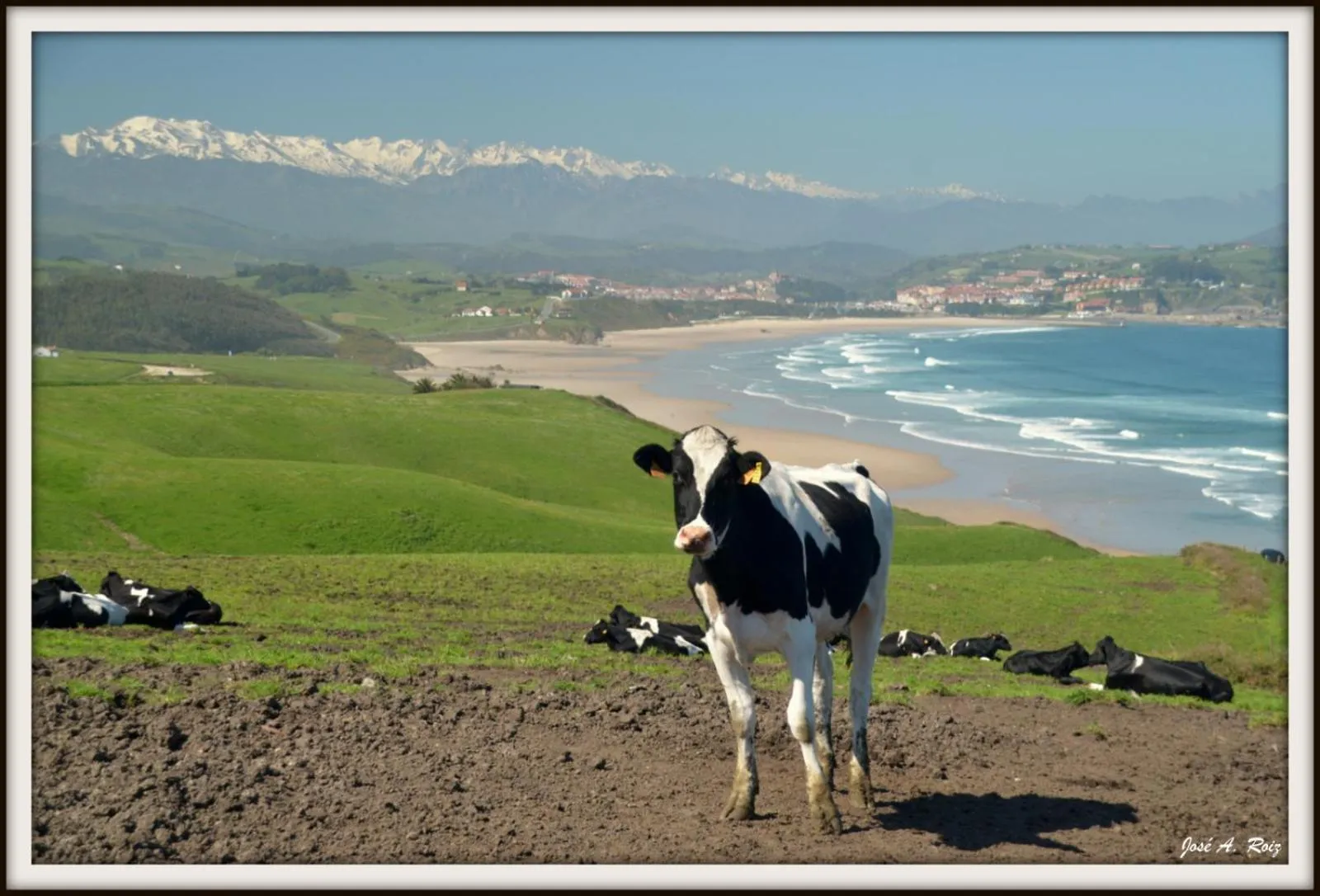 Las Cavernas Del Bisonte