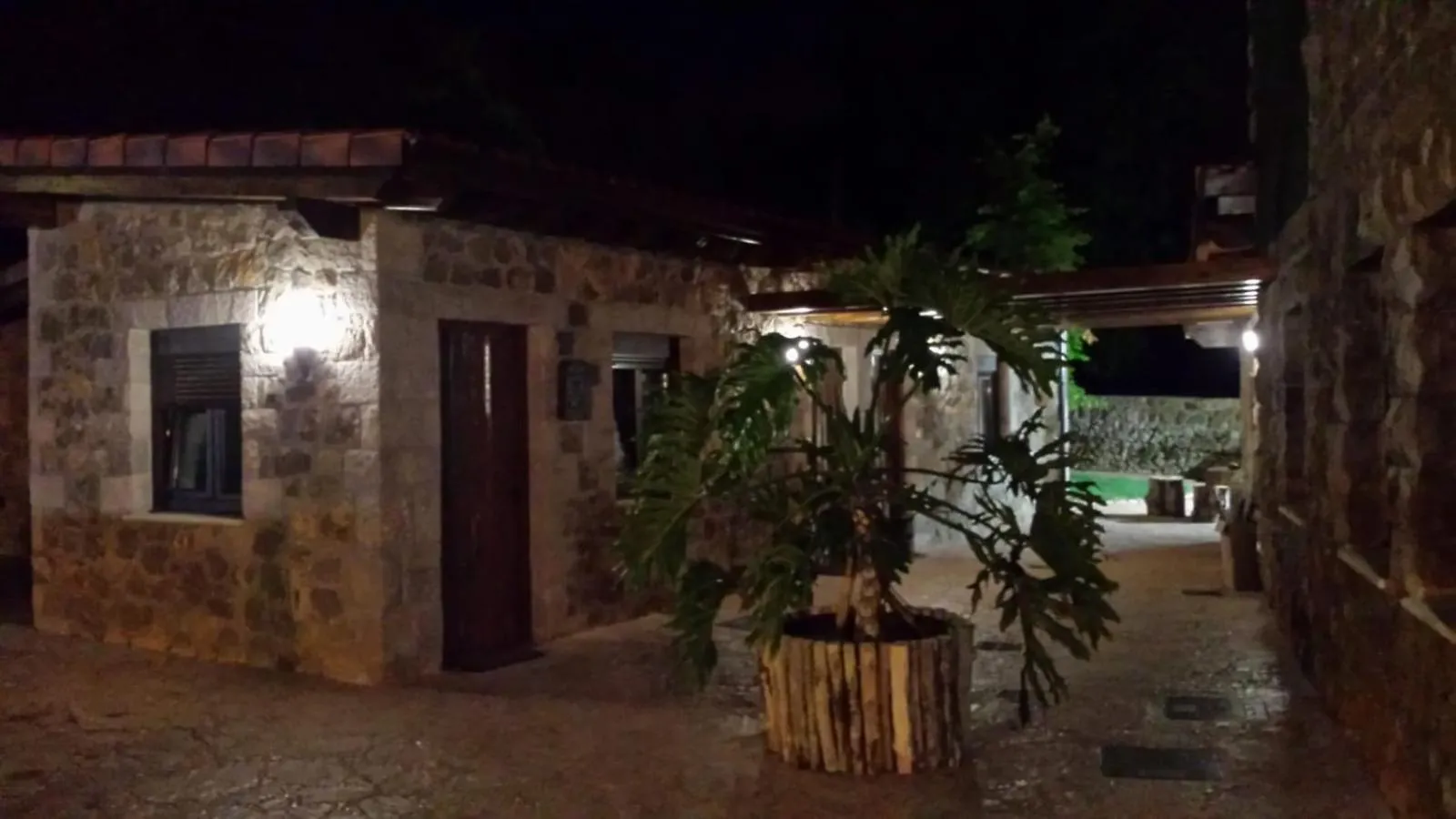 Las Cavernas Del Bisonte