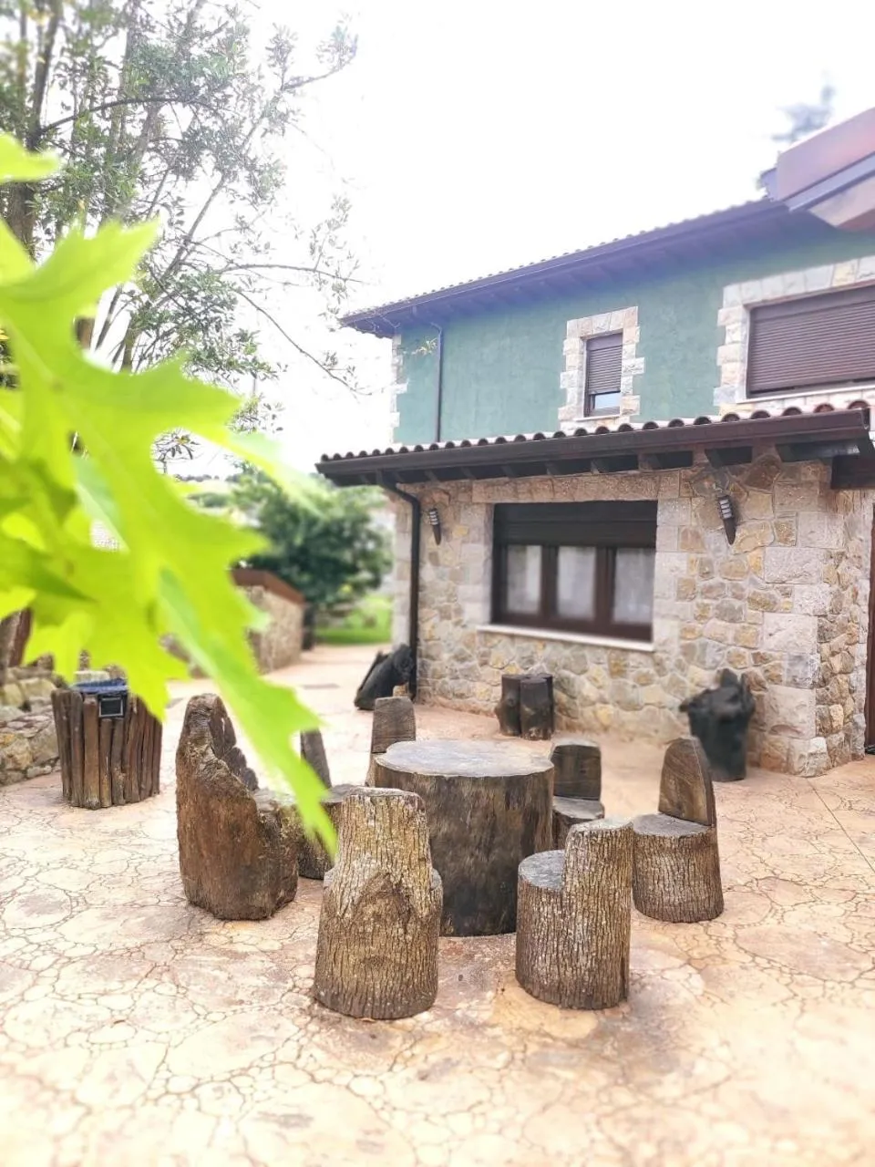 Las Cavernas Del Bisonte